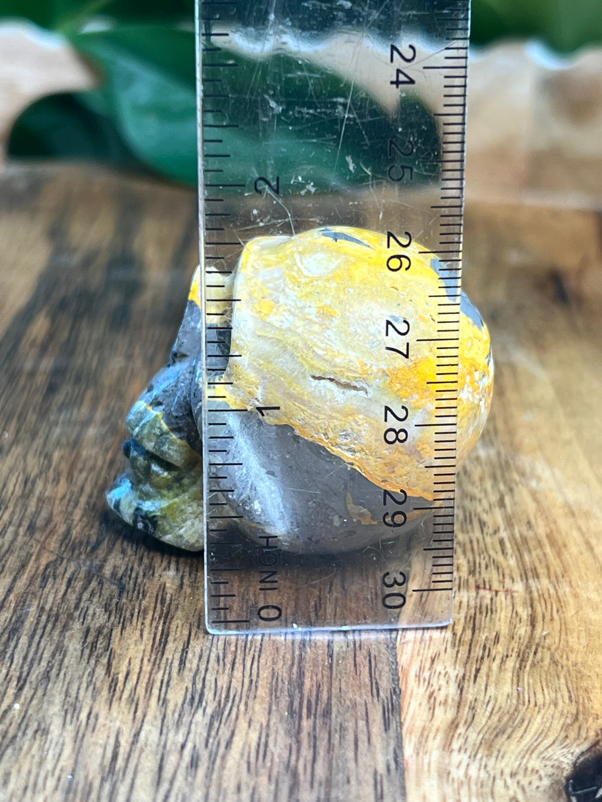 Bumblebee Jasper Mini Skull: G