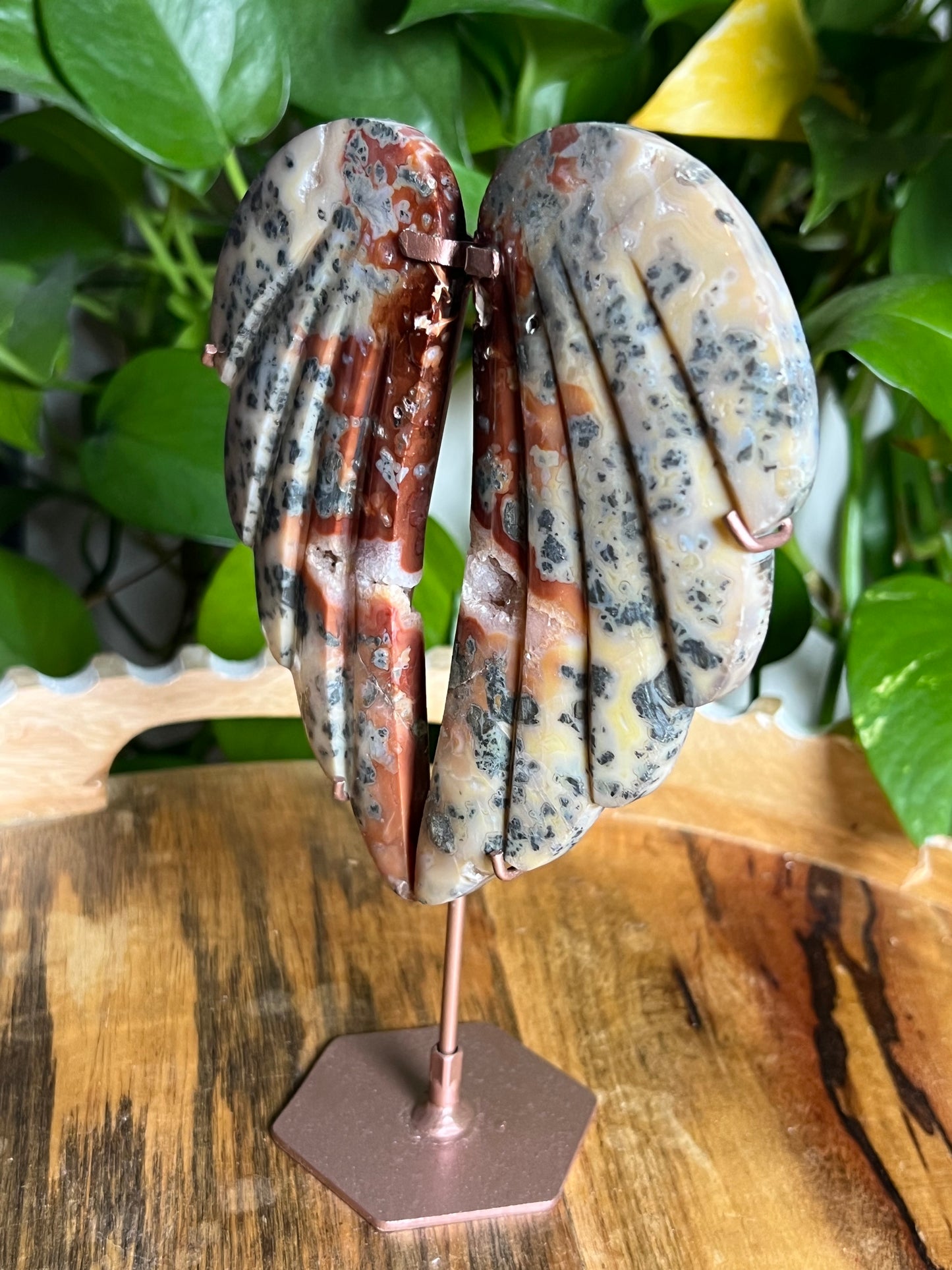 Marcasite Wings