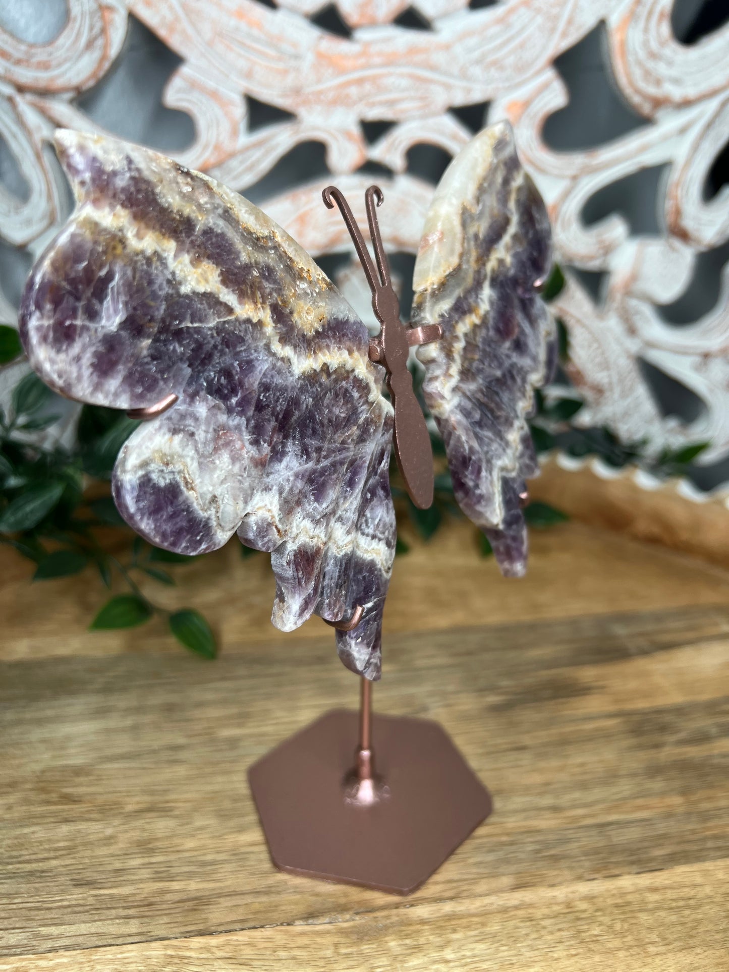 Indonesian Amethyst Wings