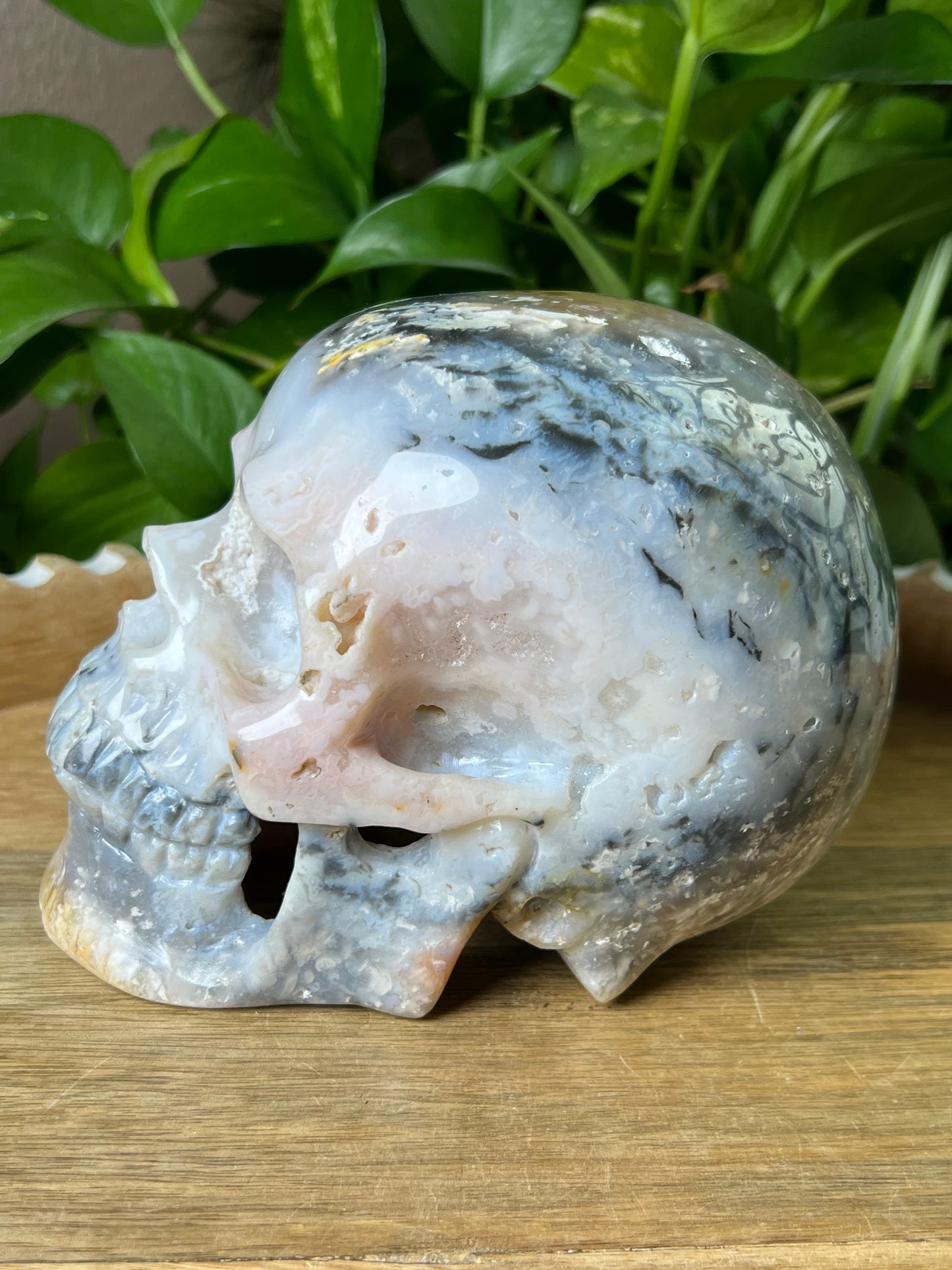 Rainbow Plume Agate Skull