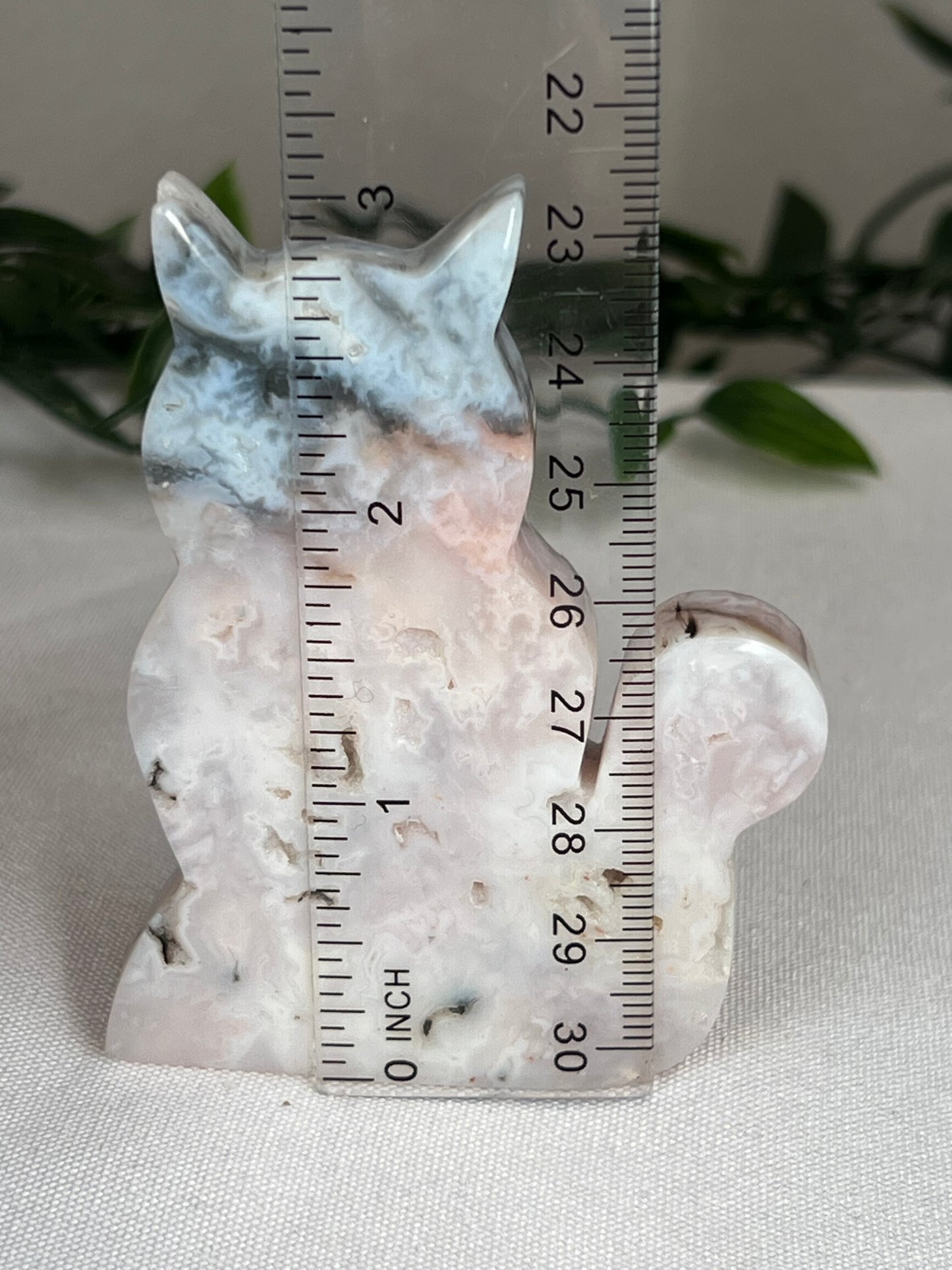 Rainbow Plume Agate Cat