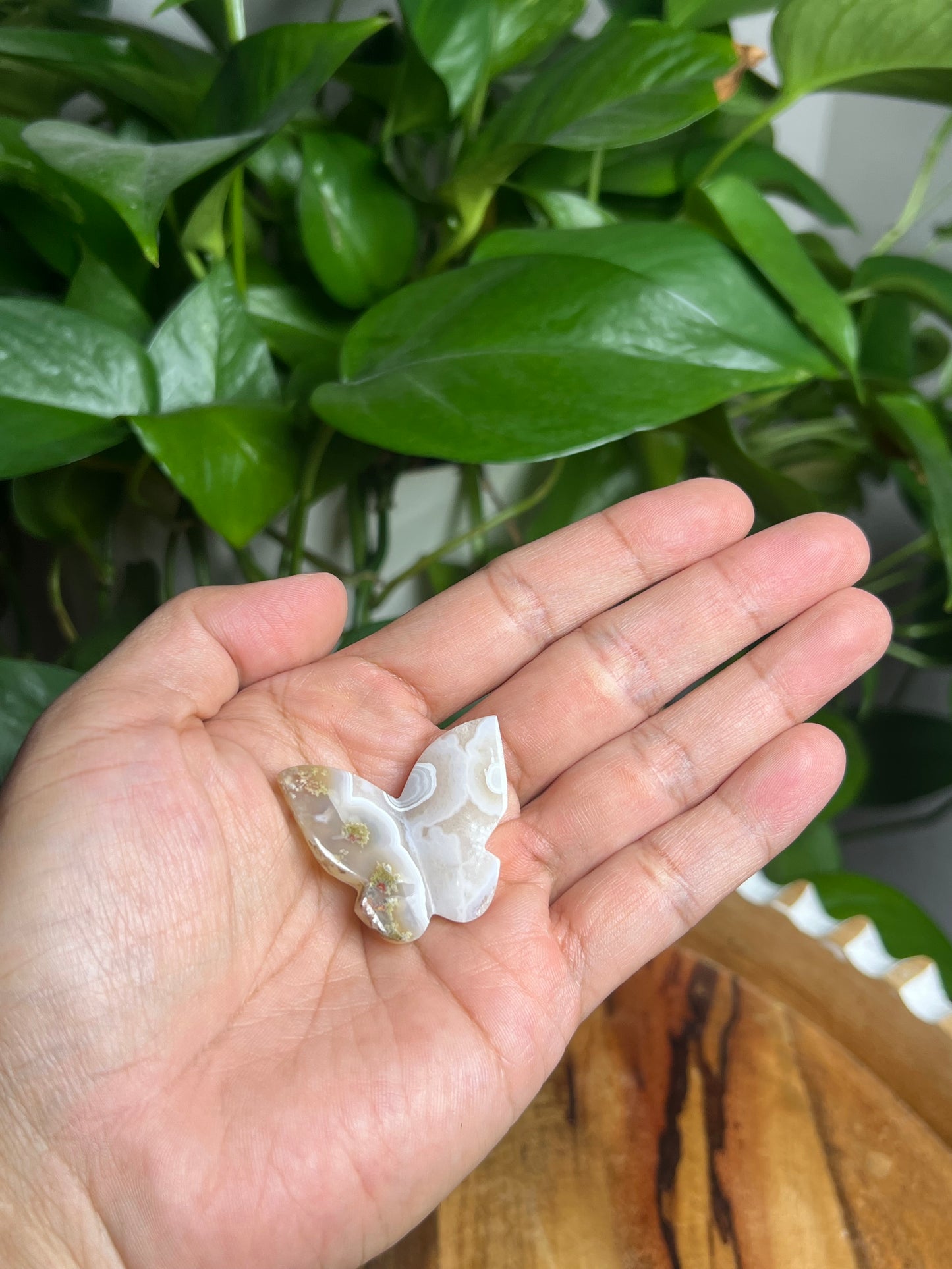 Scenic Moss Agate Mini Butterfly: E