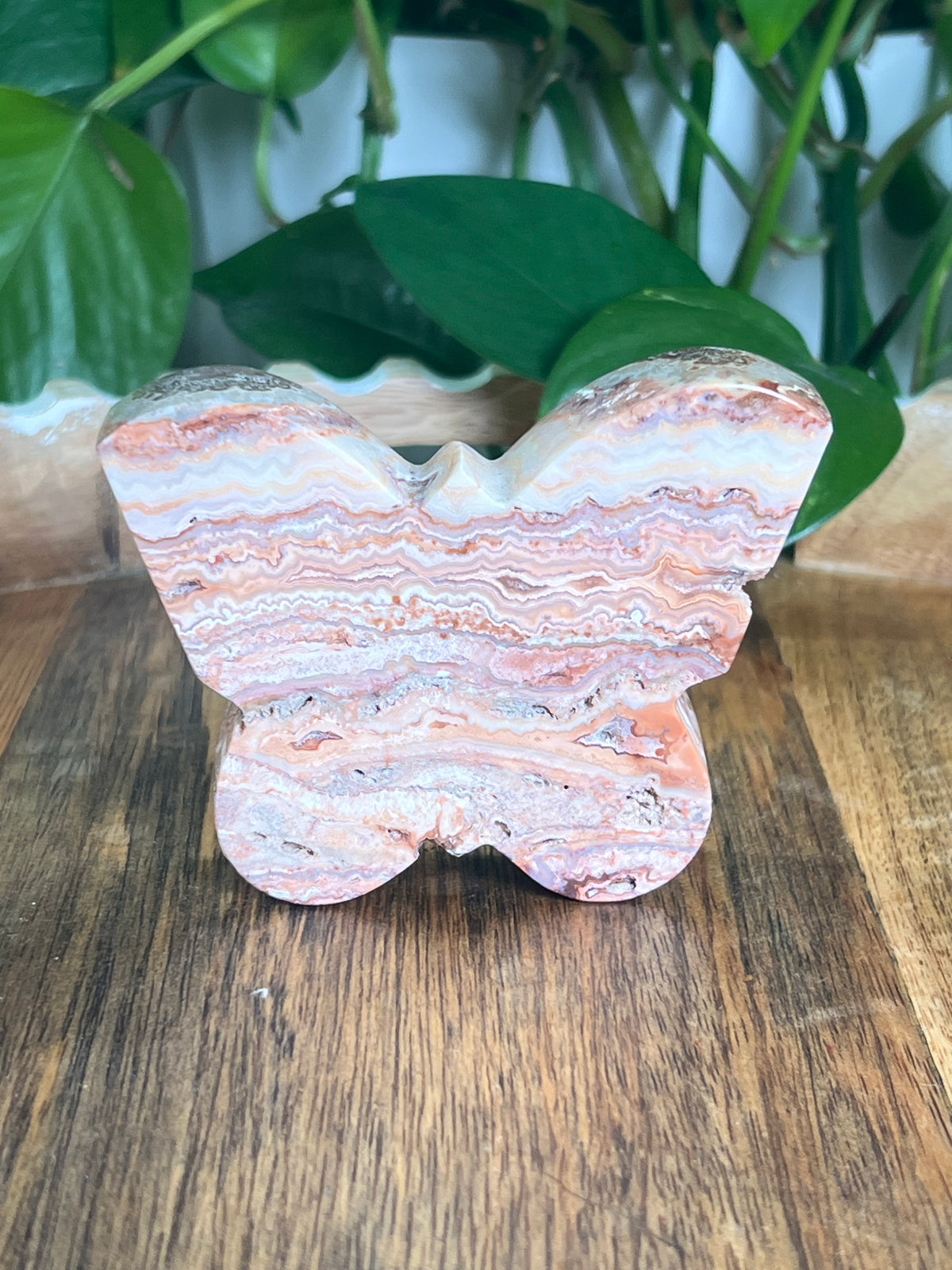 Crazy Lace Agate Butterfly: C