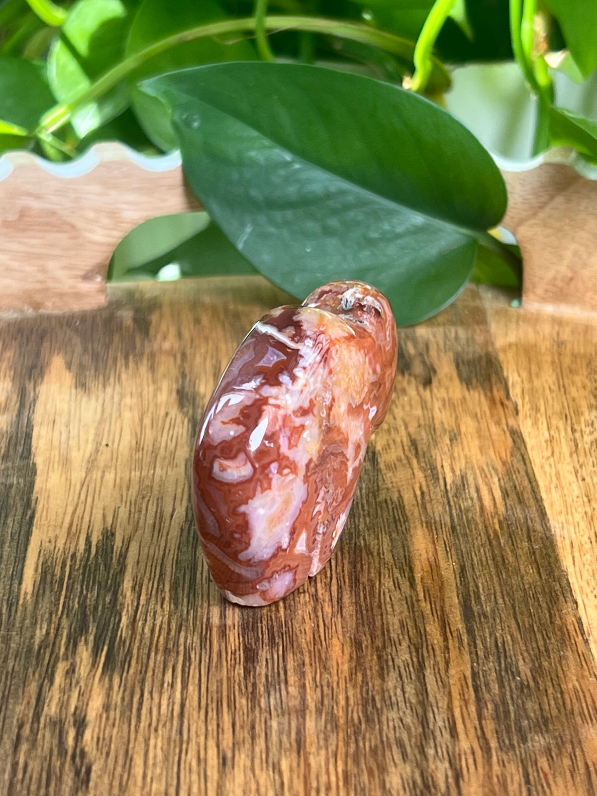 Carnelian Mini Buffalo: Bi