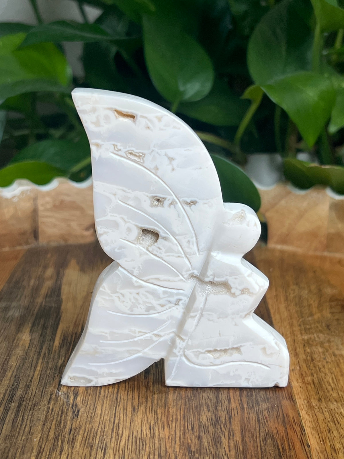 White Plume Agate Fairy: VA
