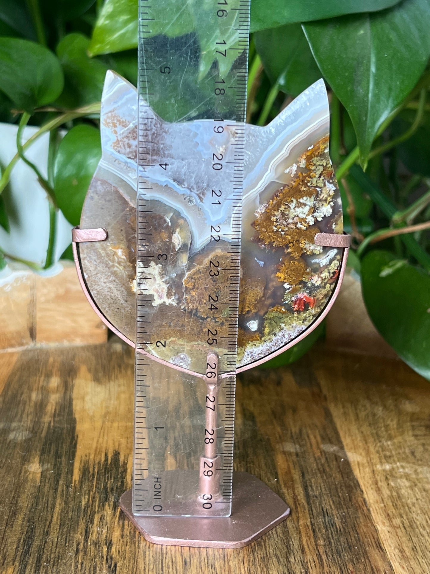 Scenic Moss Agate Cat Head