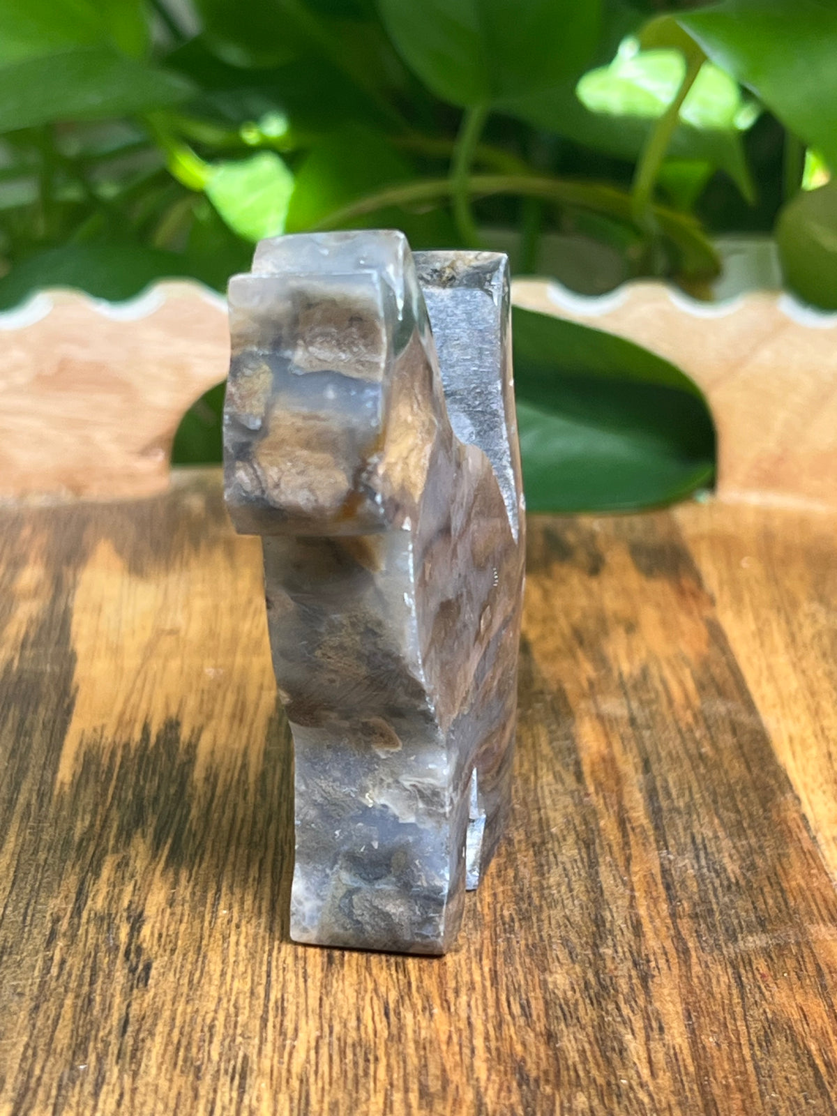 Dendritic Tiger Agate Cat: Qi
