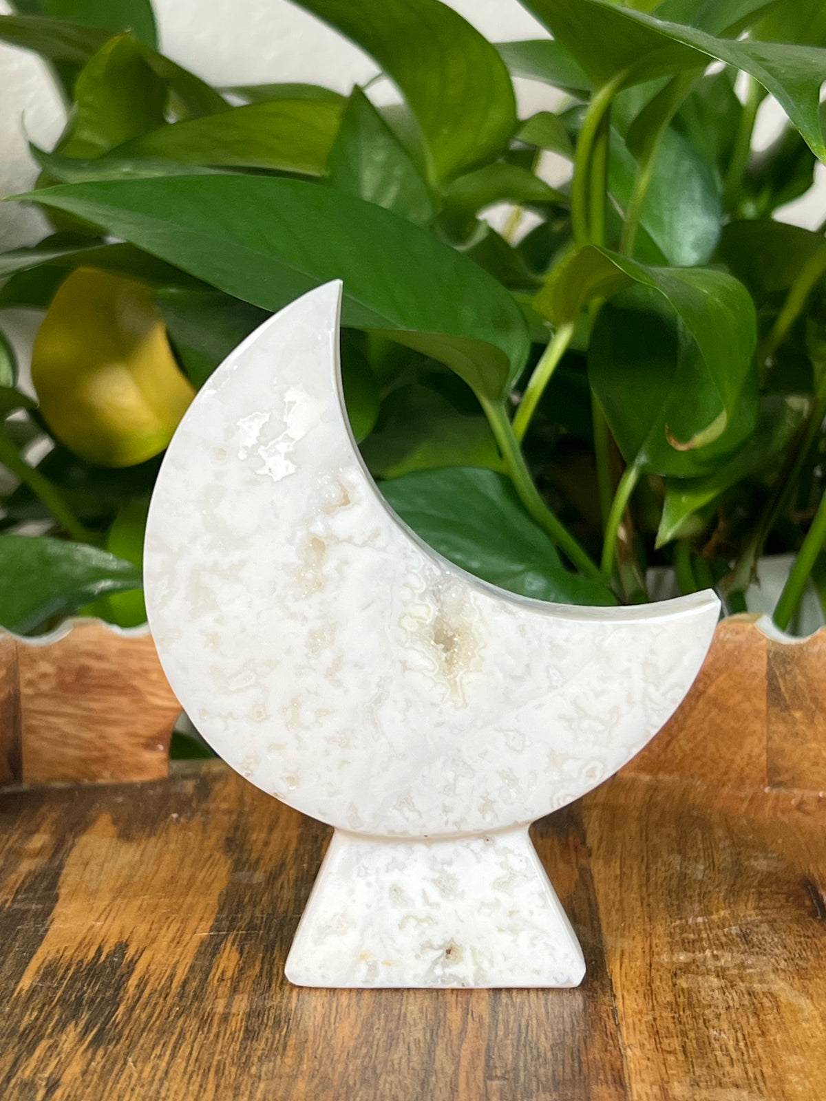 White Plume Agate Self Standing Moons