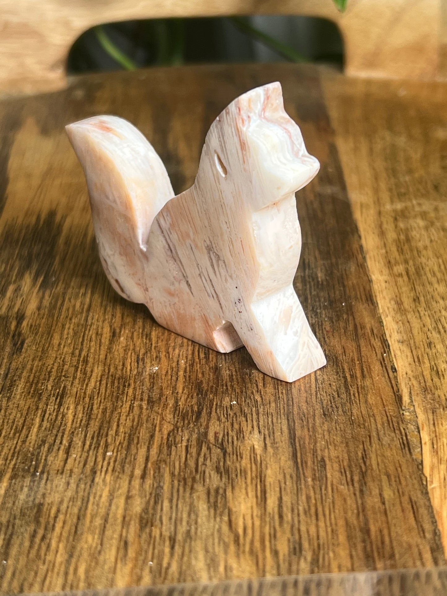 Tube Agate Fox BB