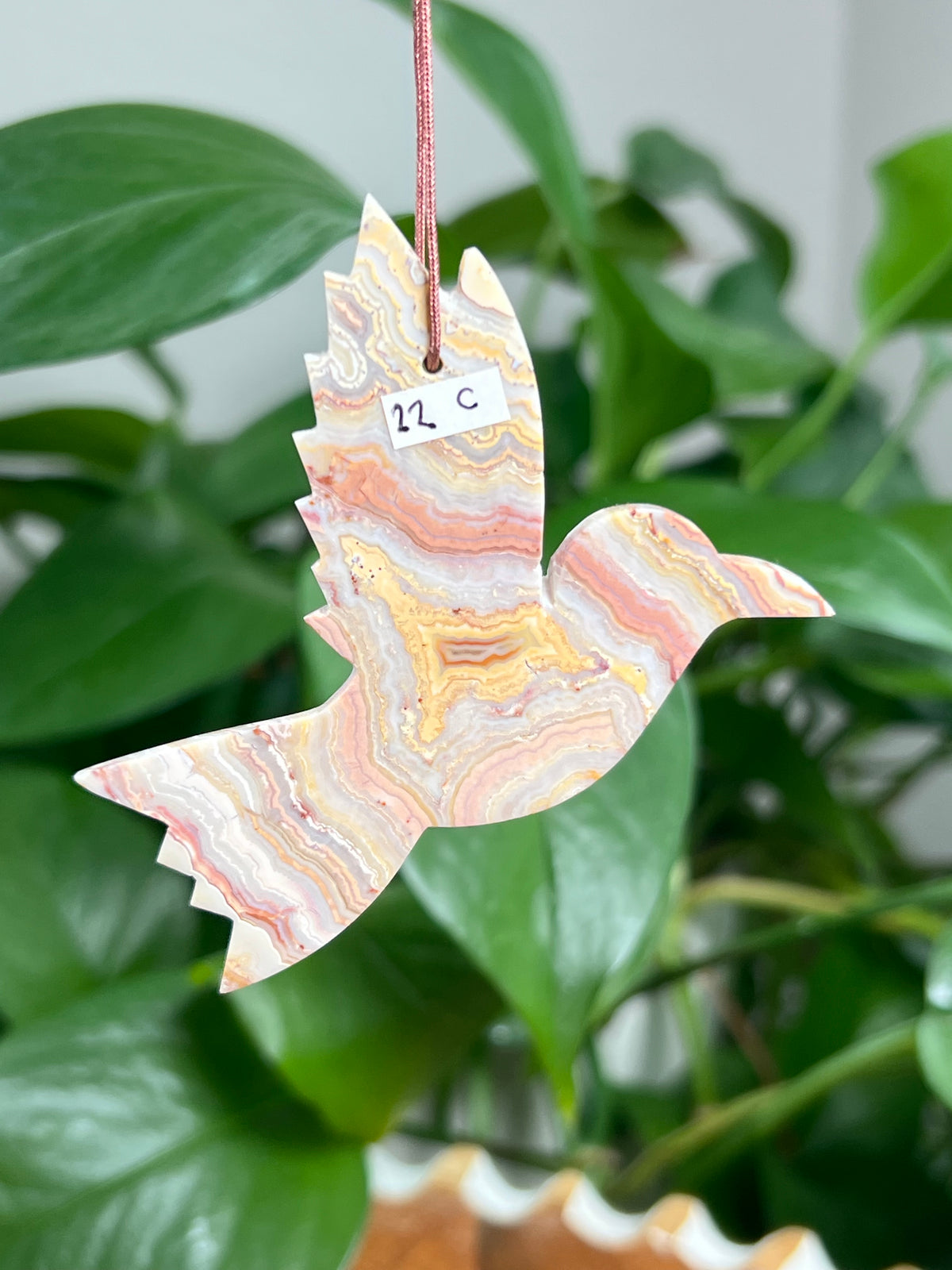 Crazy Lace Agate Ornament Hummingbird: C