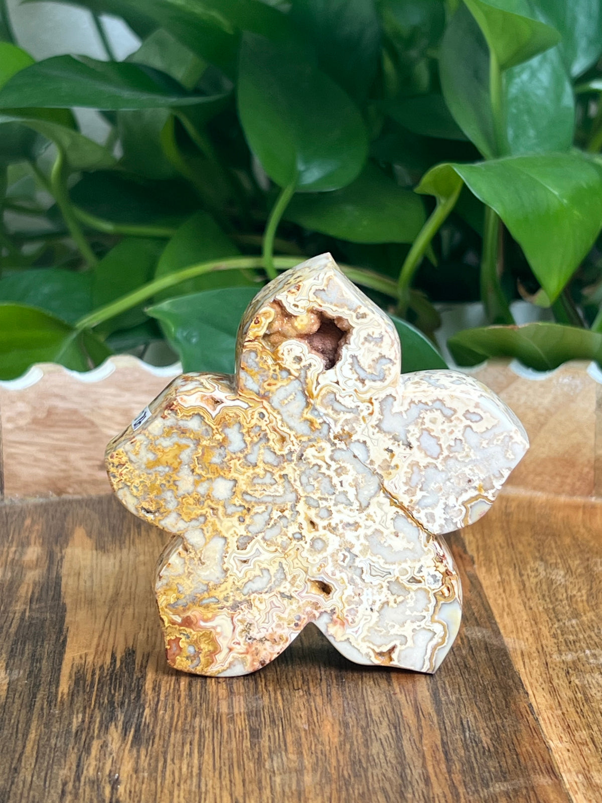 Crazy Lace Agate Flower: Ci