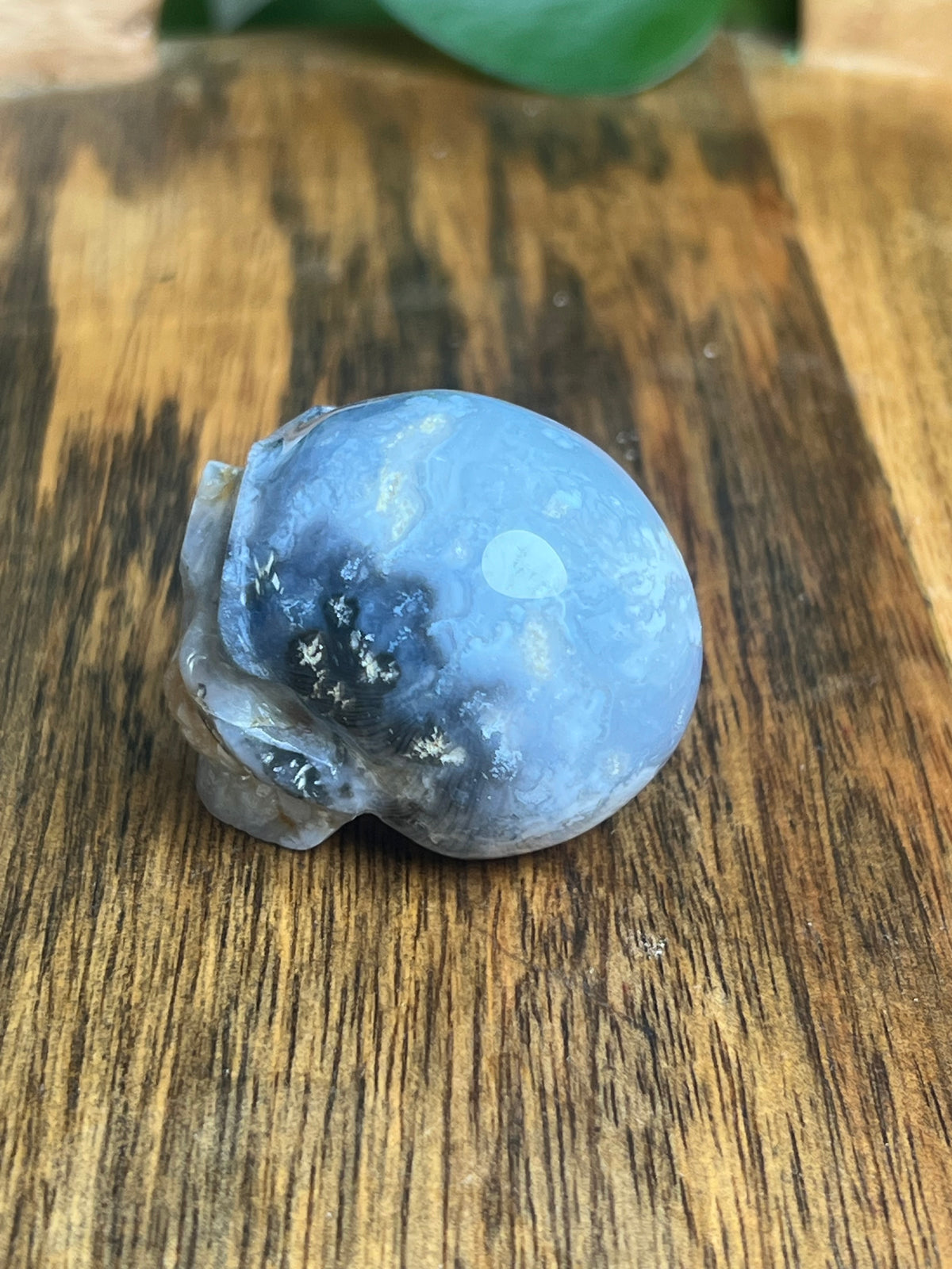 Blue Plume Agate Skull: H