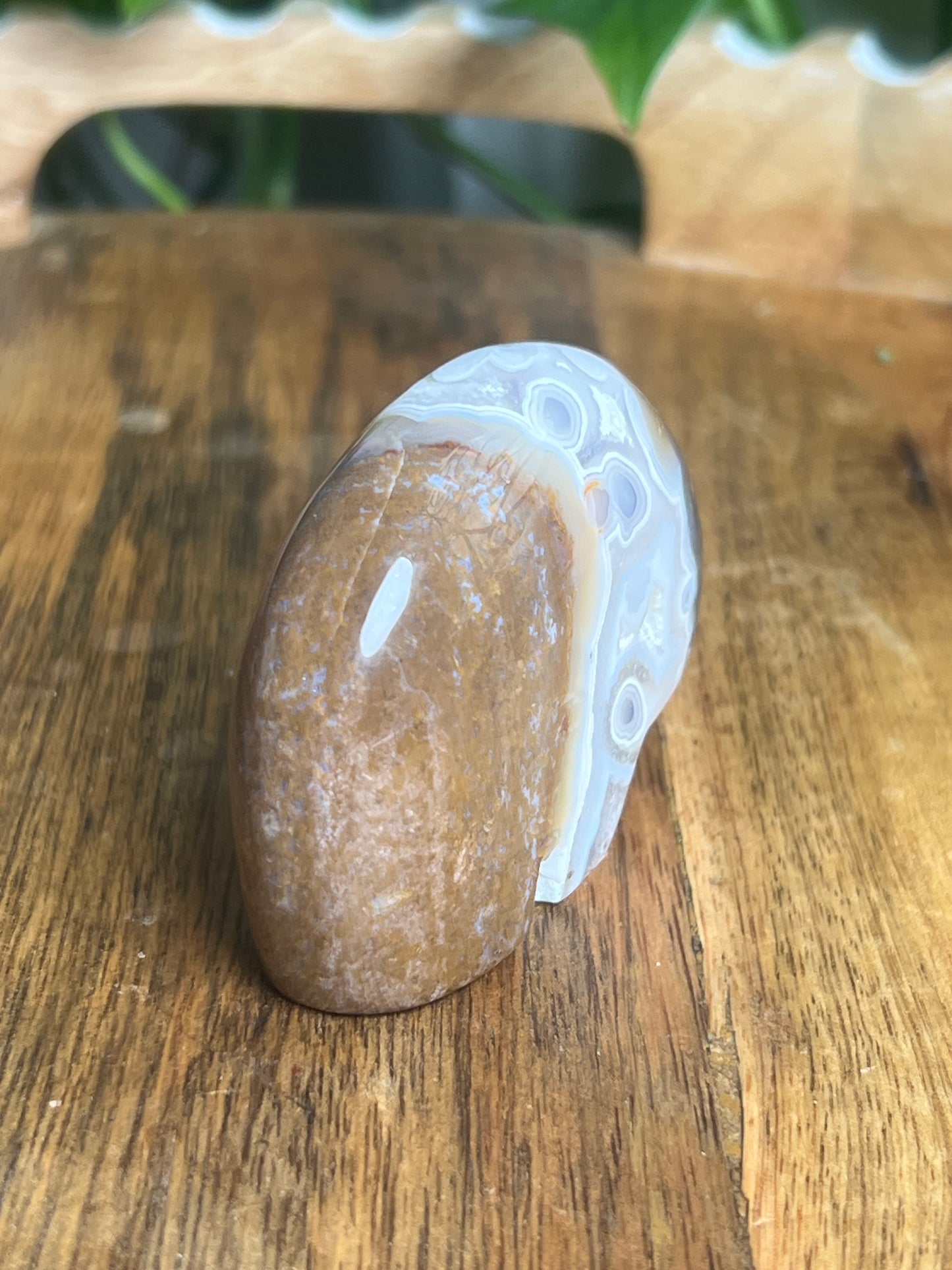 Scenic Moss Agate Bear BC