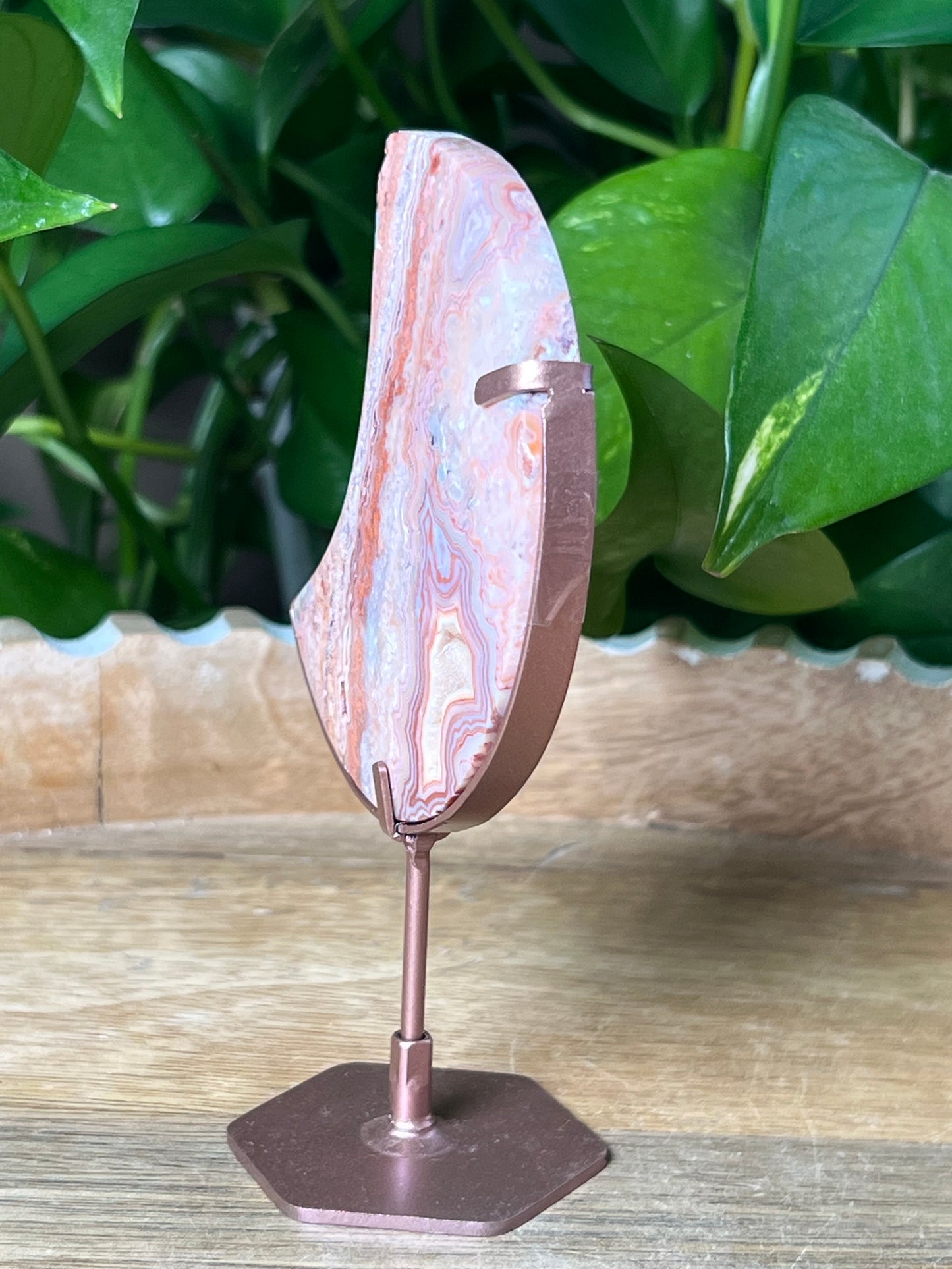 Crazy Lace Agate Moon