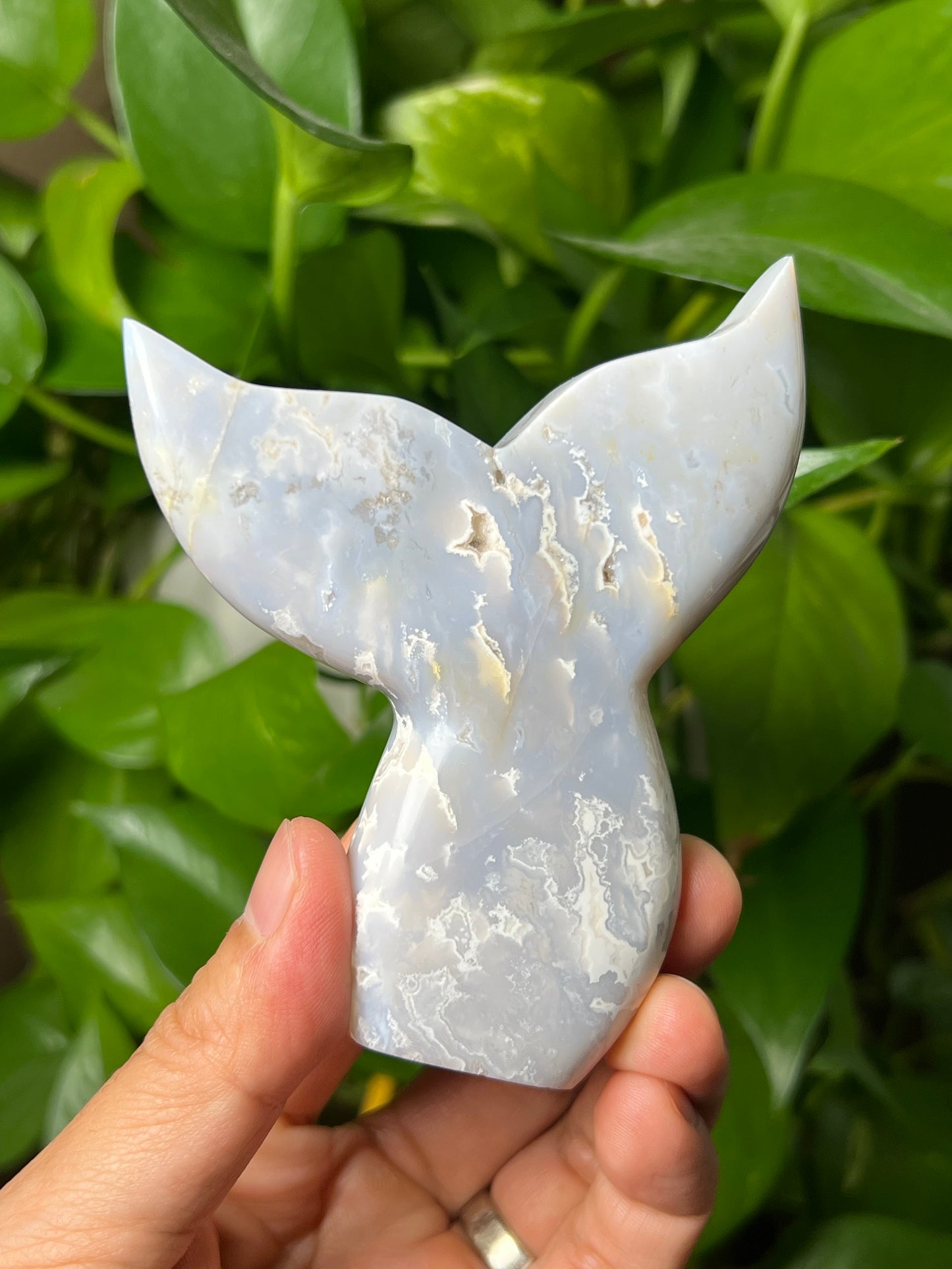 Winter Plume Agate Tail