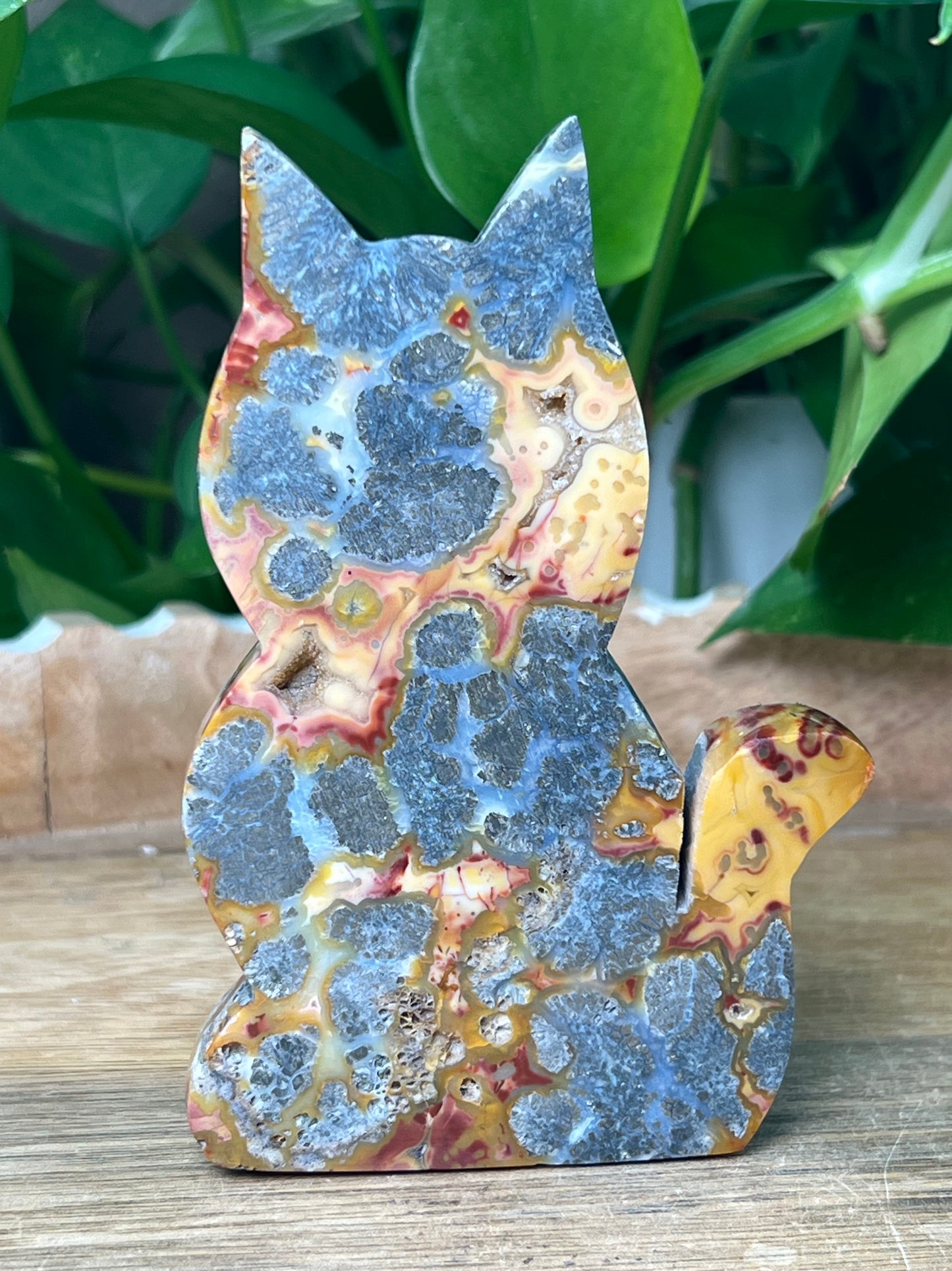 Marcasite Cat