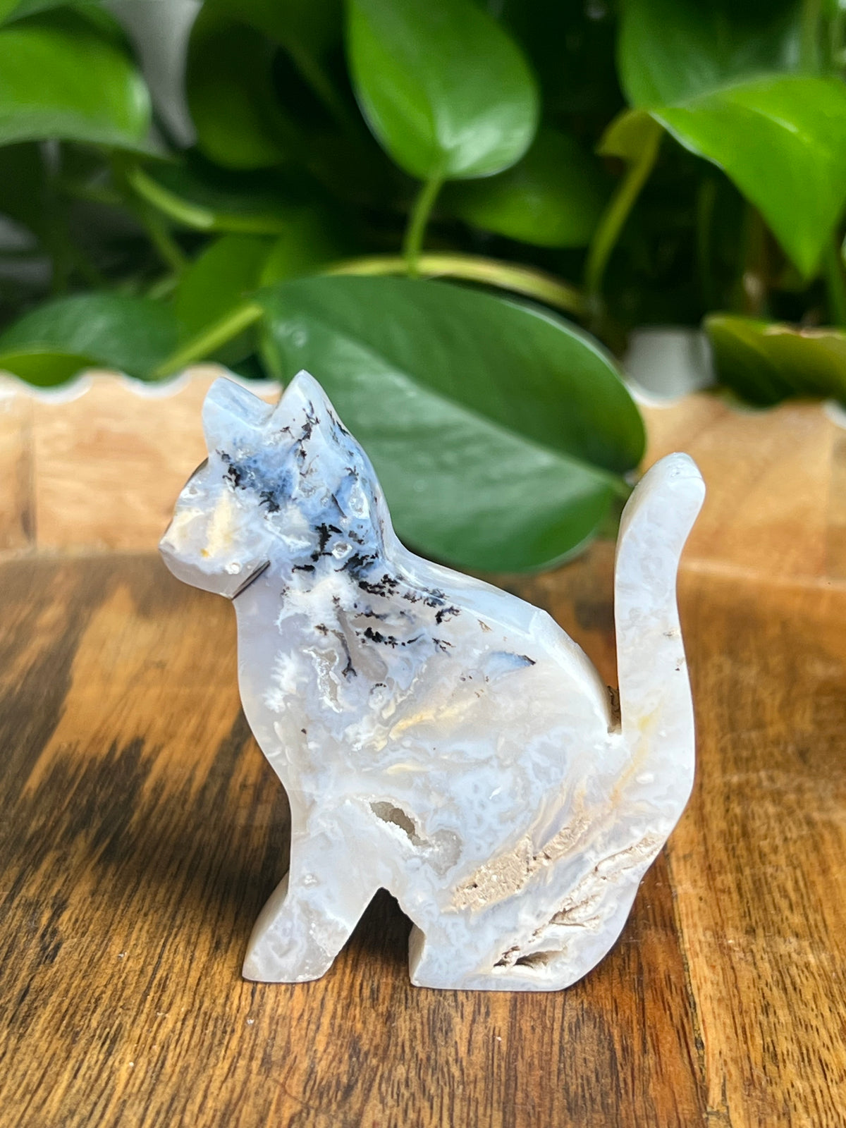 Dendritic Tiger Agate Cat: PE