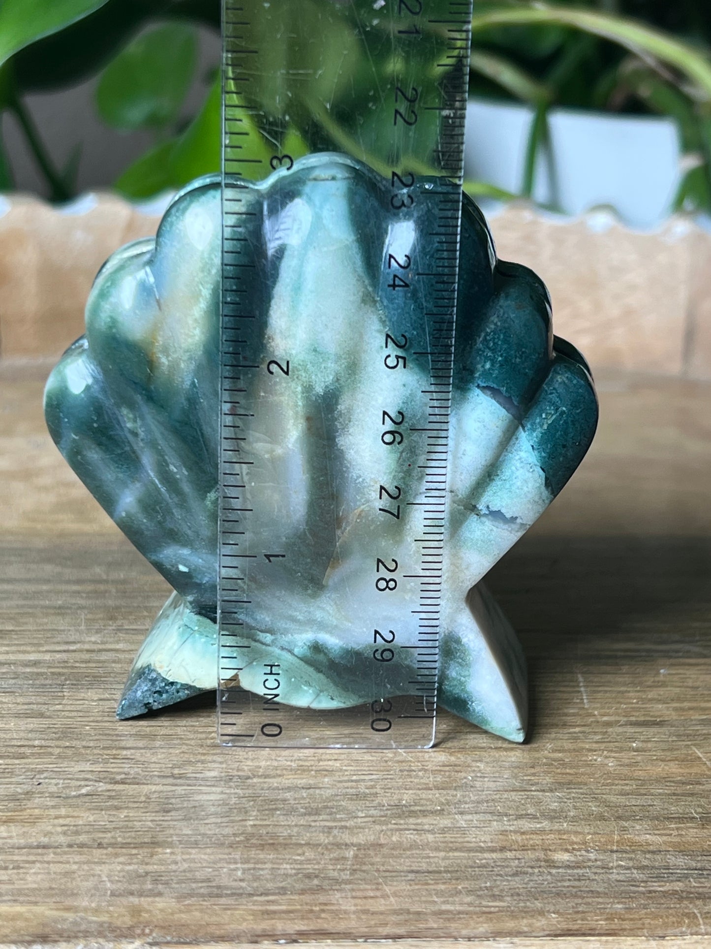 Blue Green Jasper Shell