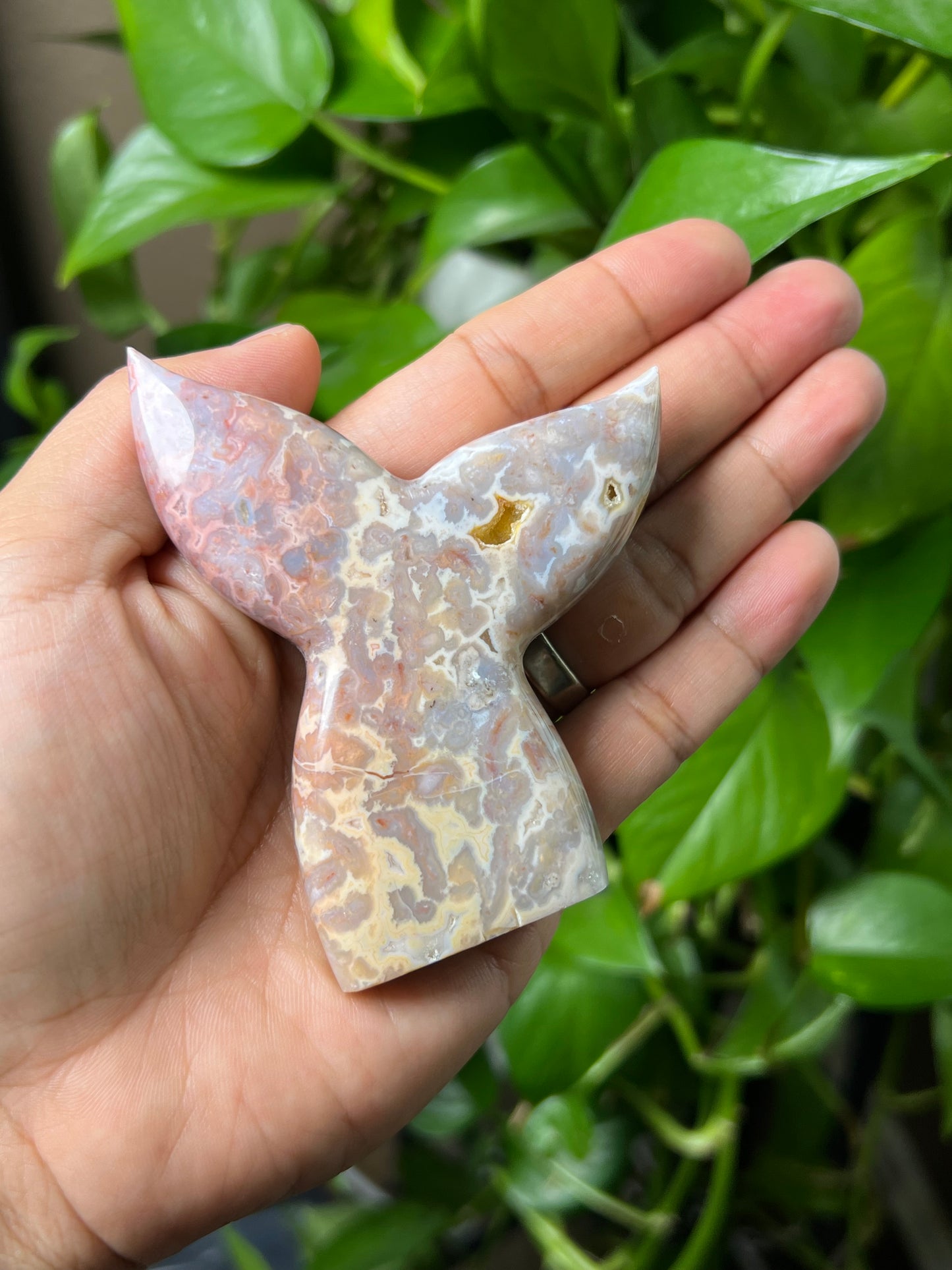 Sumatra Plume Agate Tail