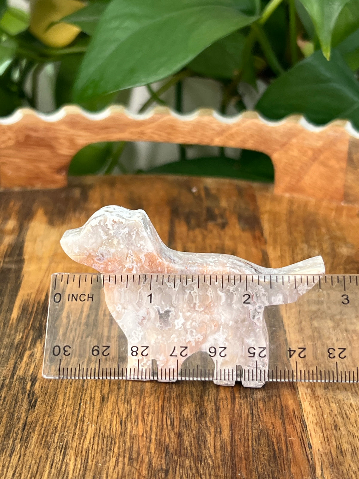 Sumatra Plume Agate Dogs