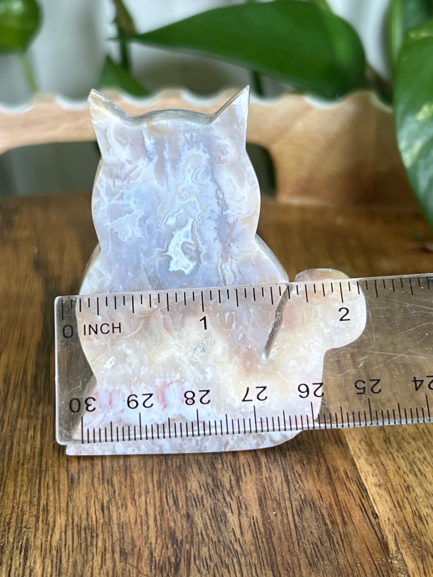 Sumatra Agate Cat EC