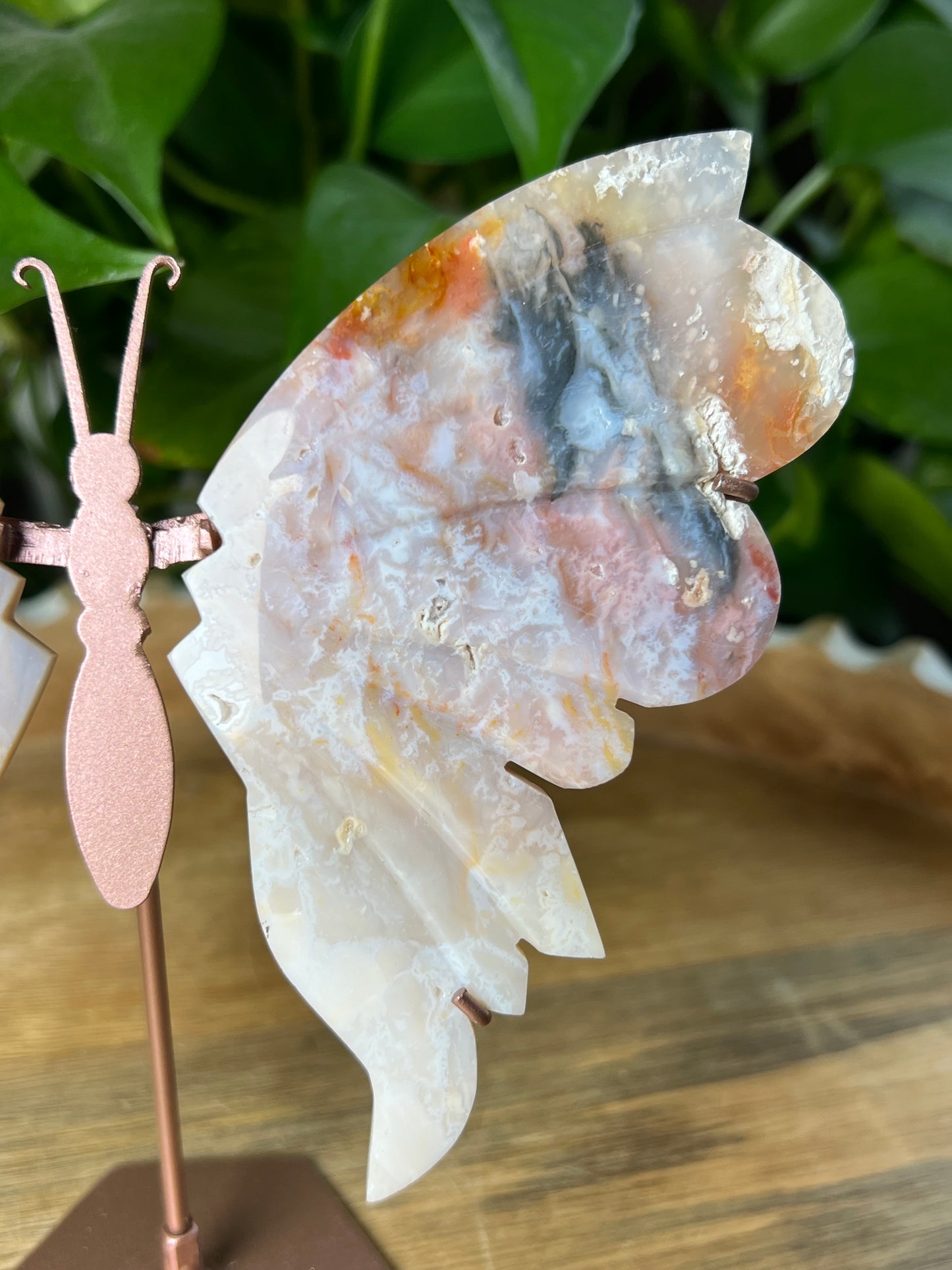 Rainbow Plume Agate Wings