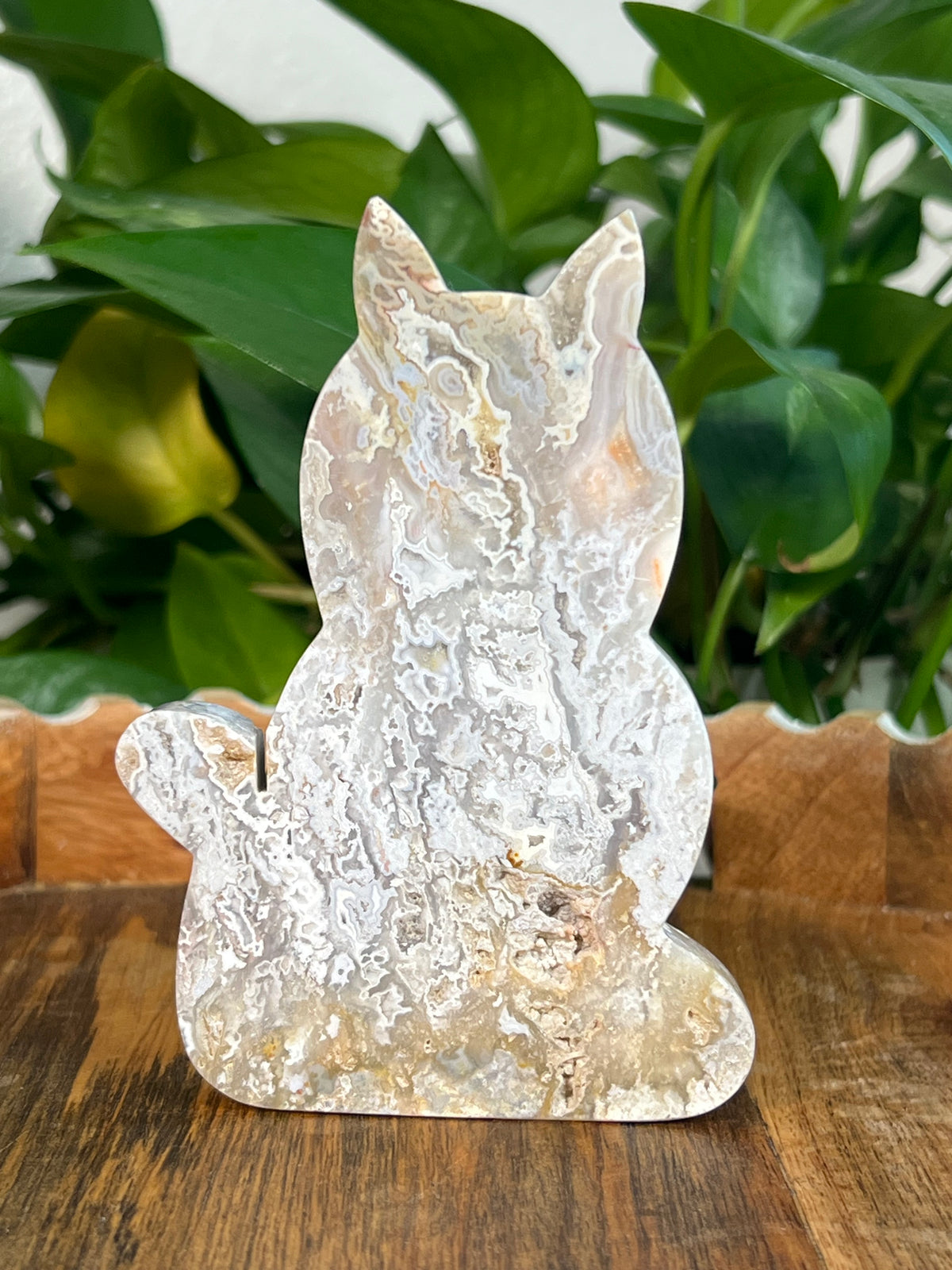Sumatra Plume Agate Cats