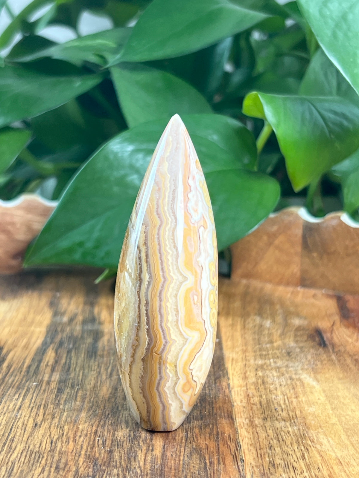 Crazy Lace Agate Flame: BG