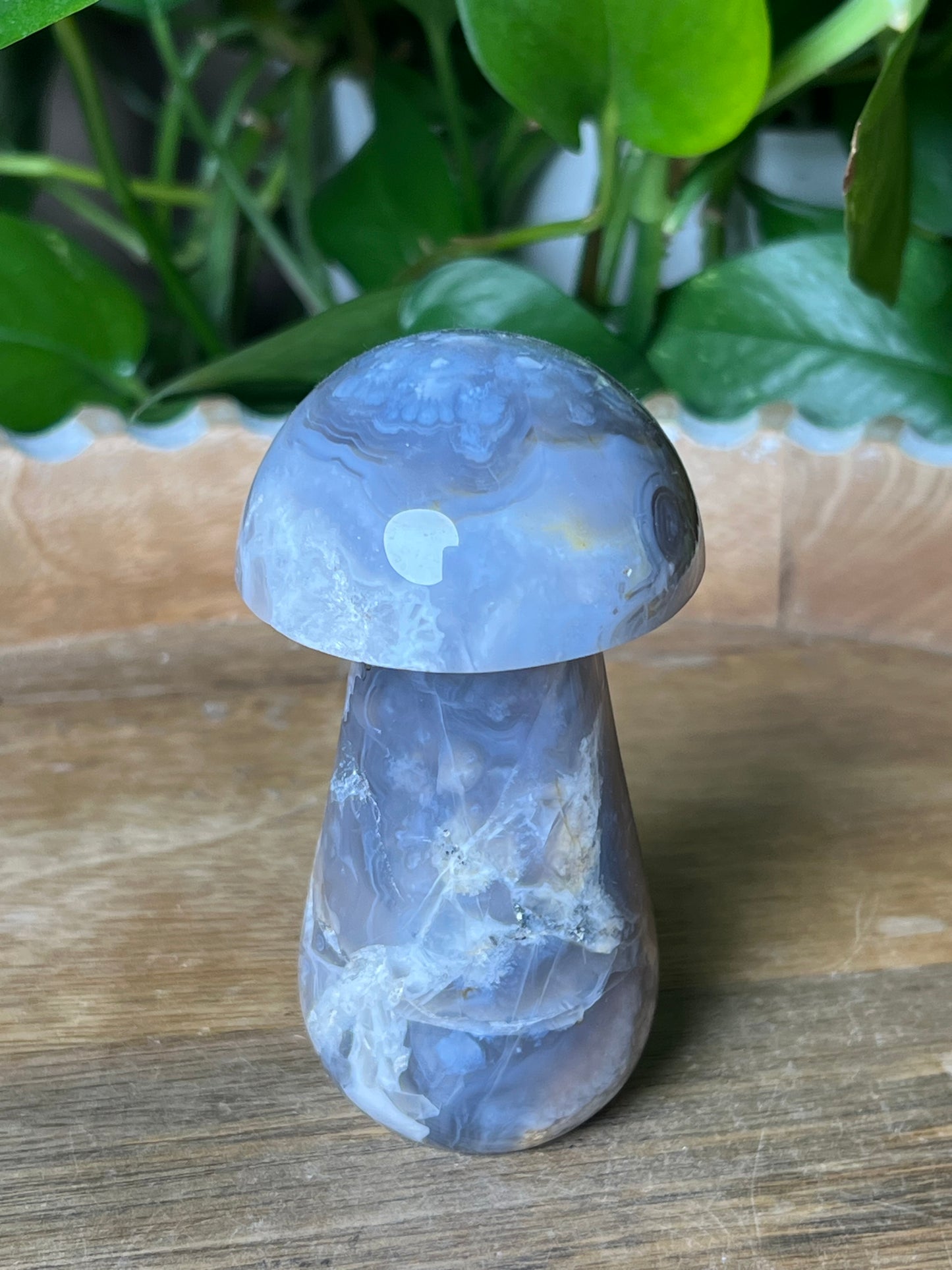 Blue Grey Lace Agate Mushroom: AB