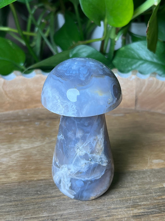 Blue Grey Lace Agate Mushroom: AB