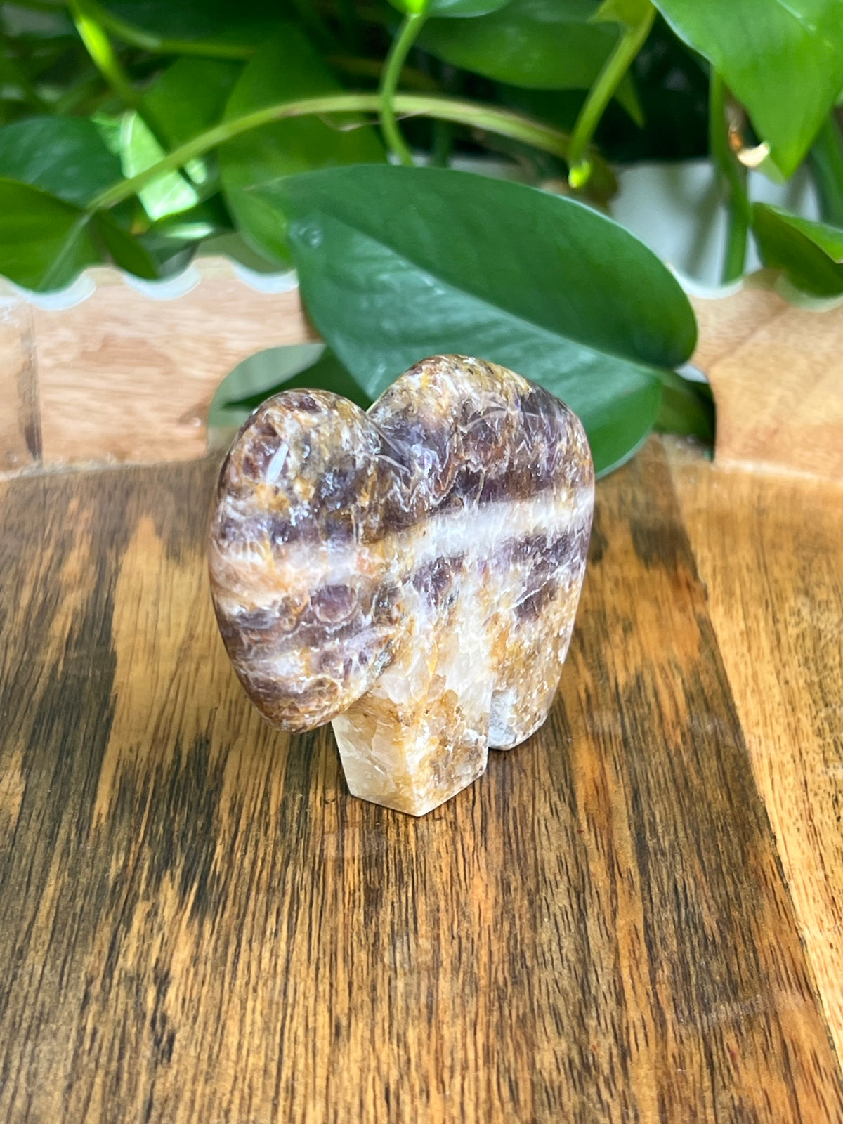 Indonesian Amethyst Buffalo: RL