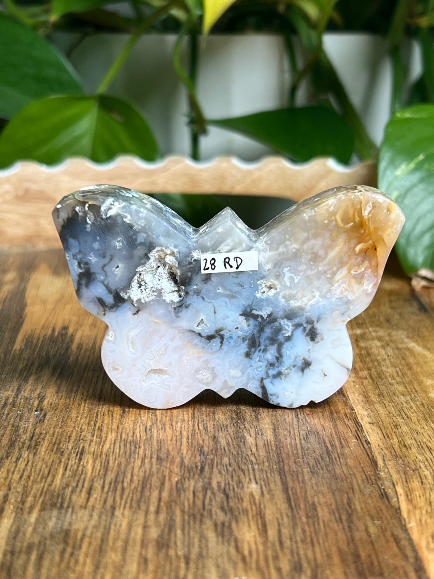 Rainbow Plume Agate Butterfly RD