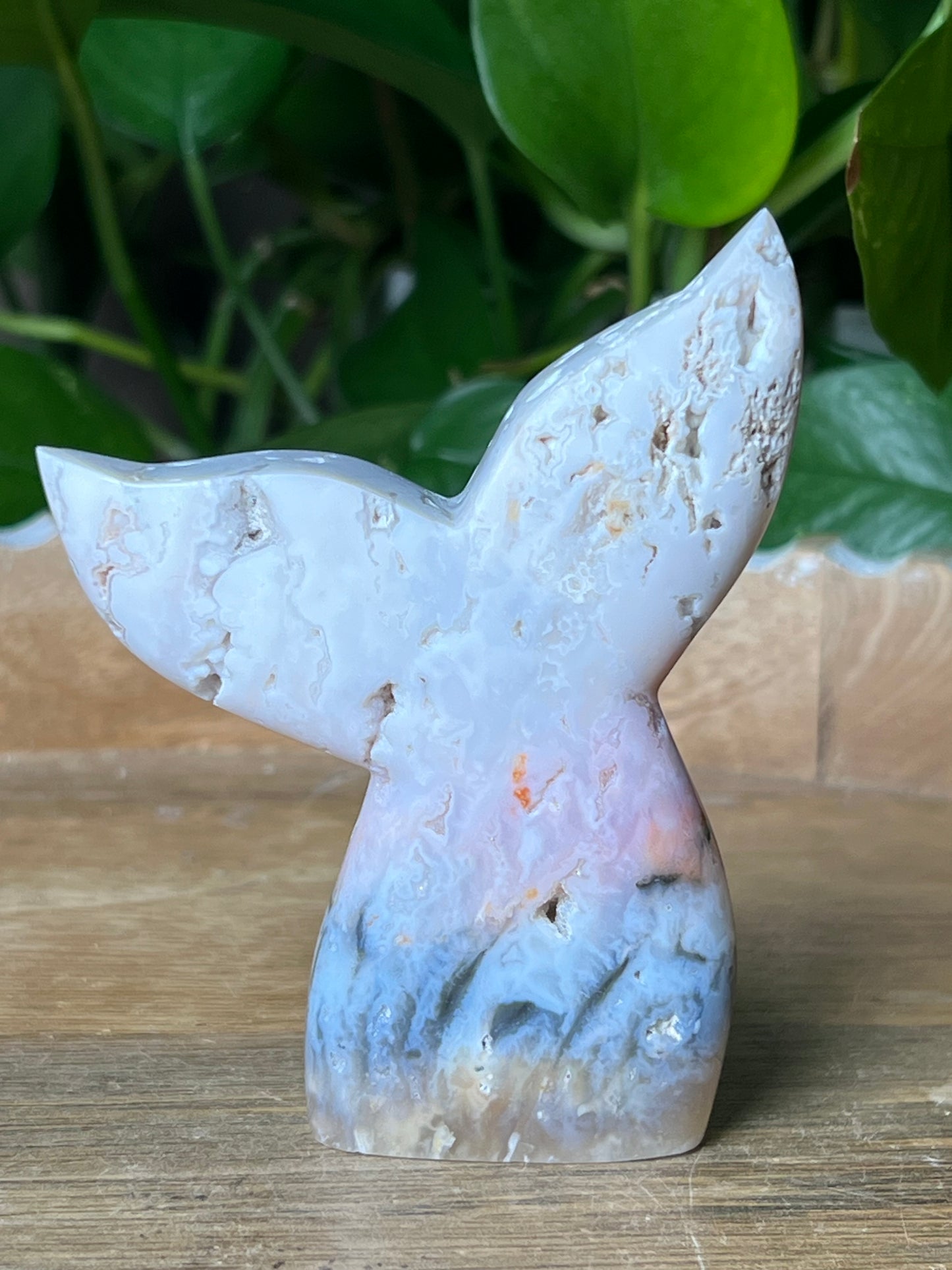 Rainbow Plume Agate Tail: RB