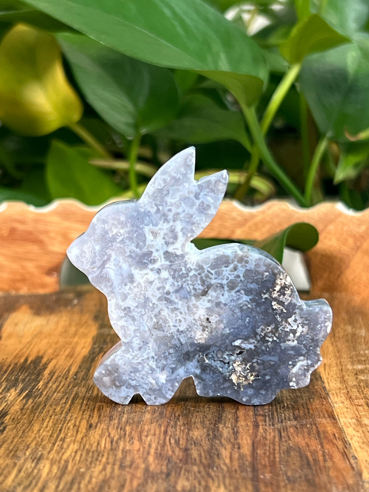 Blue Plume Agate Bunnies