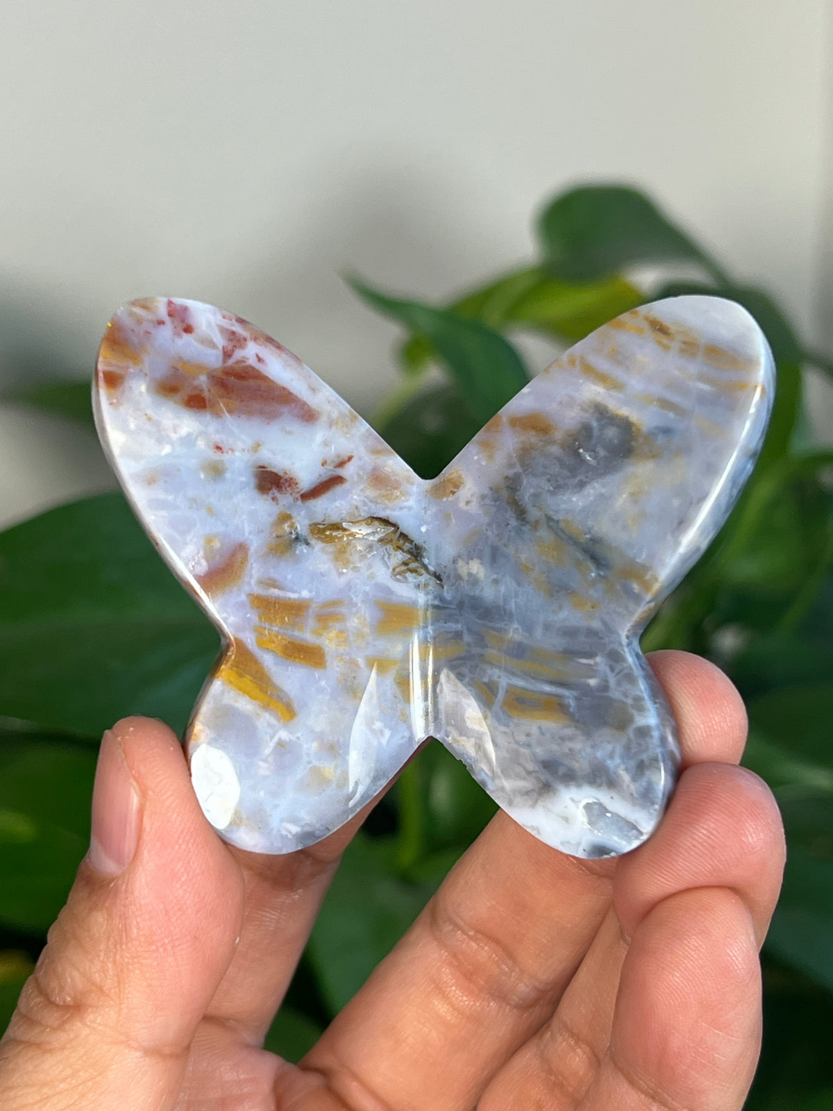 Milky River Jasper 3D Butterflies