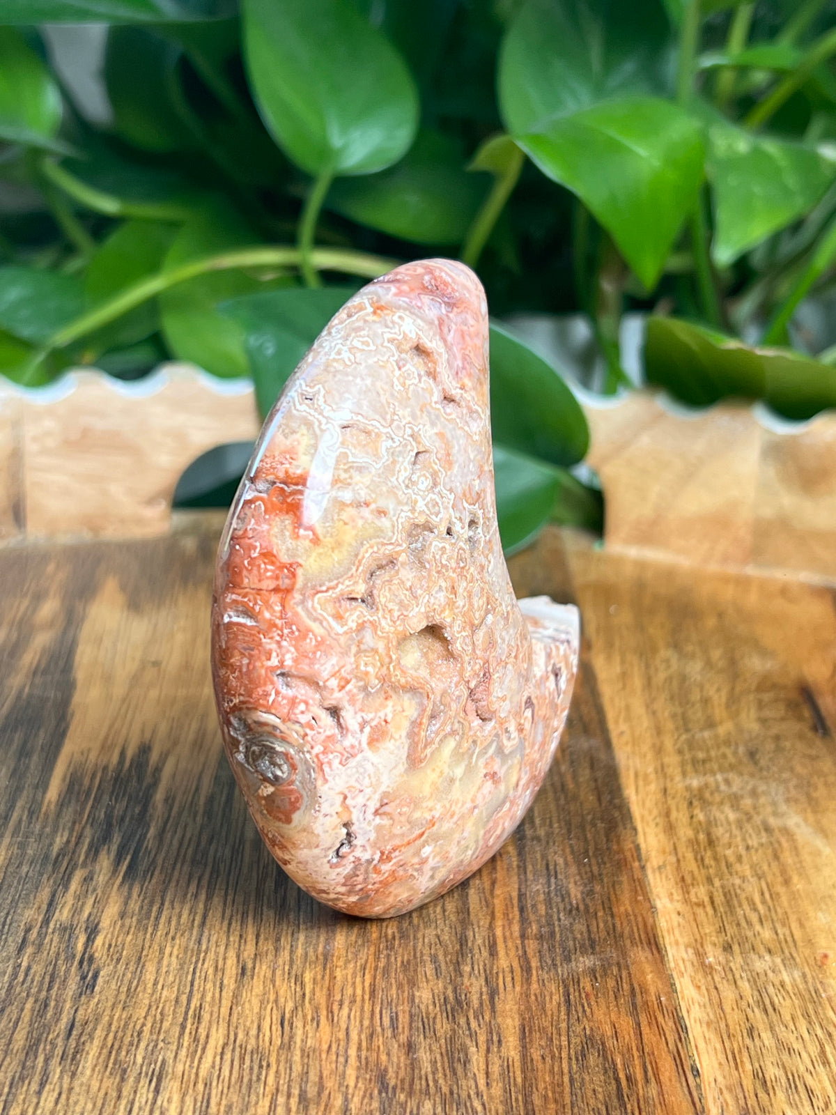 Crazy Lace Agate Self Standing Moon: MA