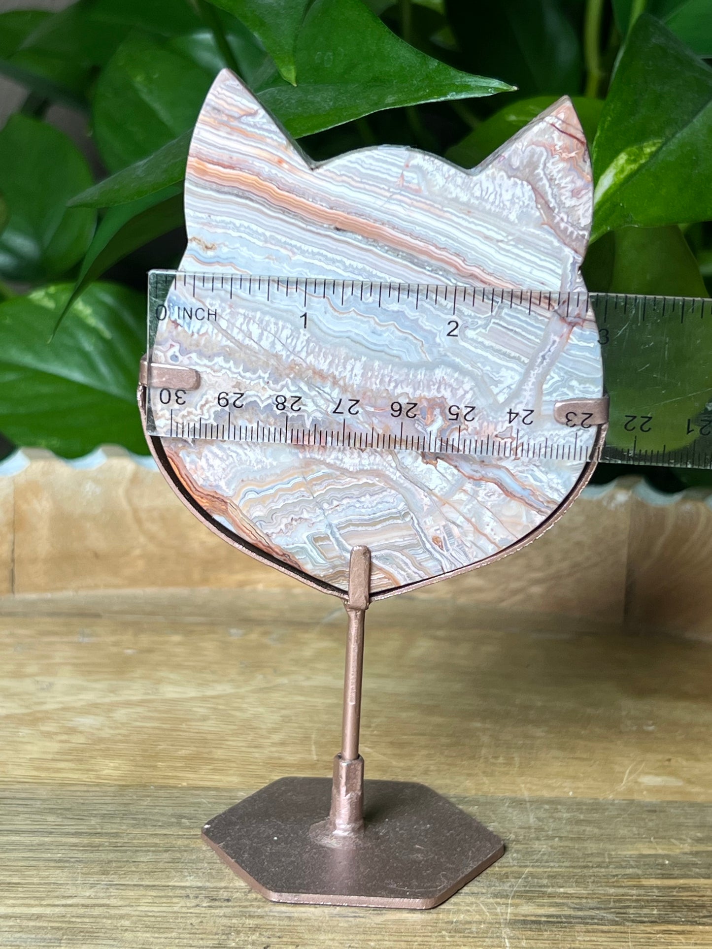 Crazy Lace Agate Cat Head
