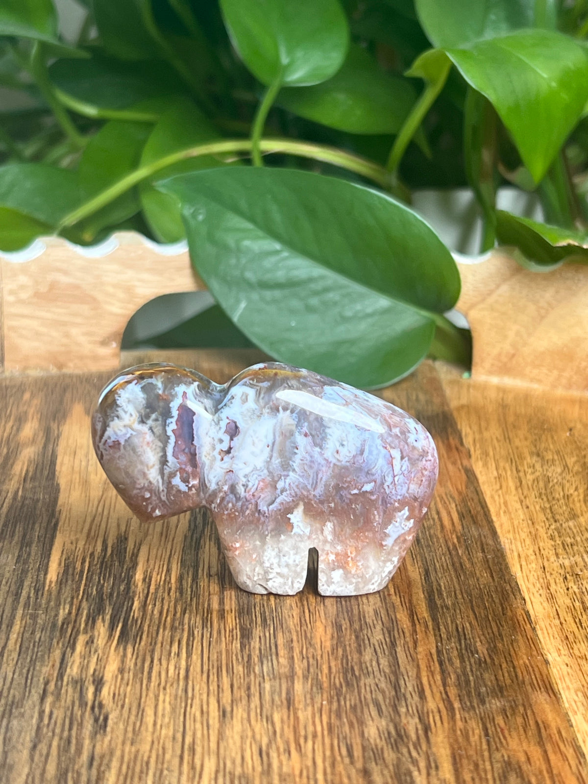 Sumatra Plume Agate Mini Buffalo: DD