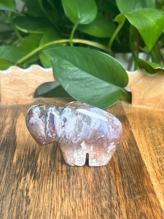 Sumatra Plume Agate Mini Buffalo: DD