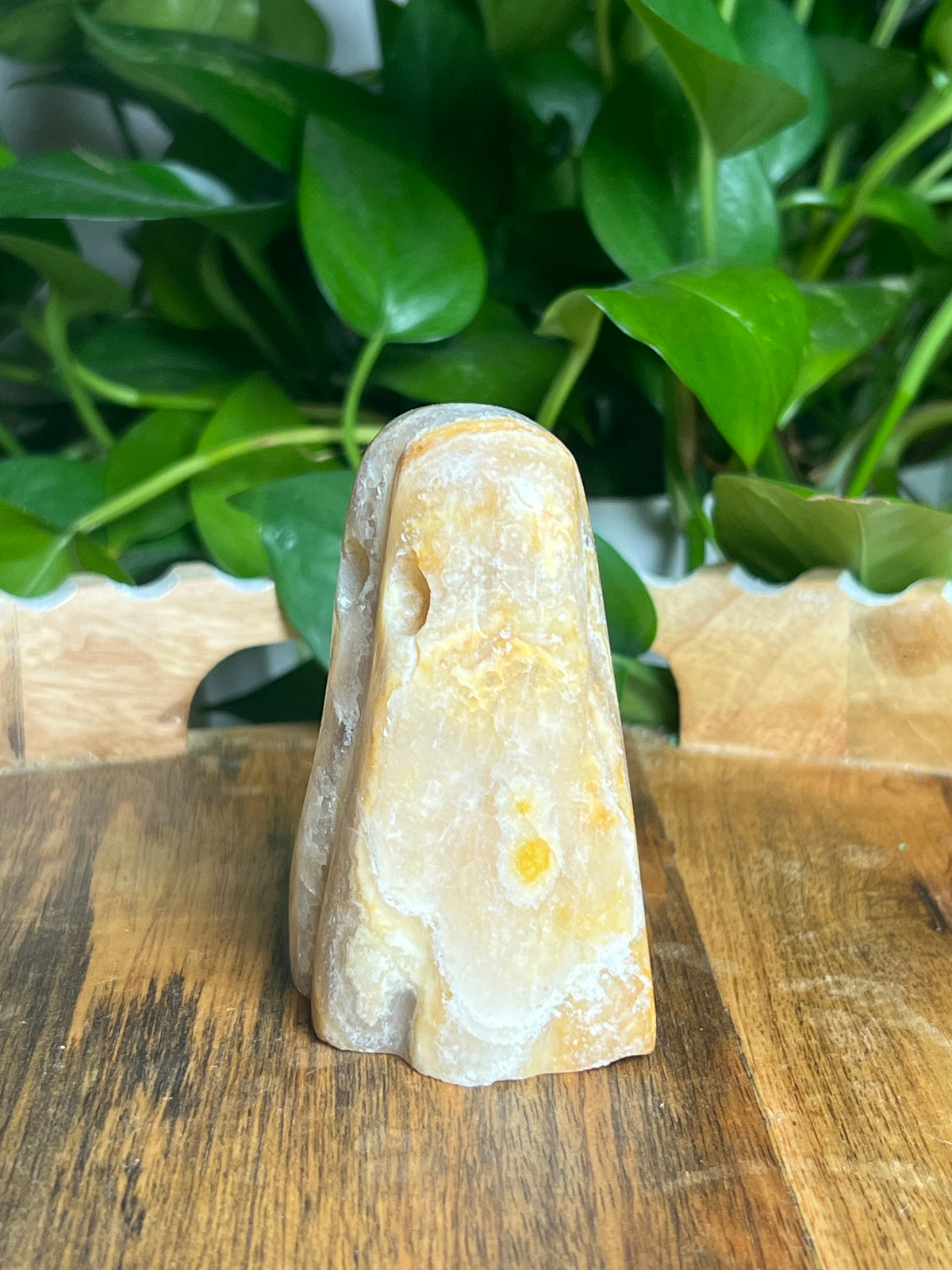Yellow Crazy Lace Agate Ghost: S