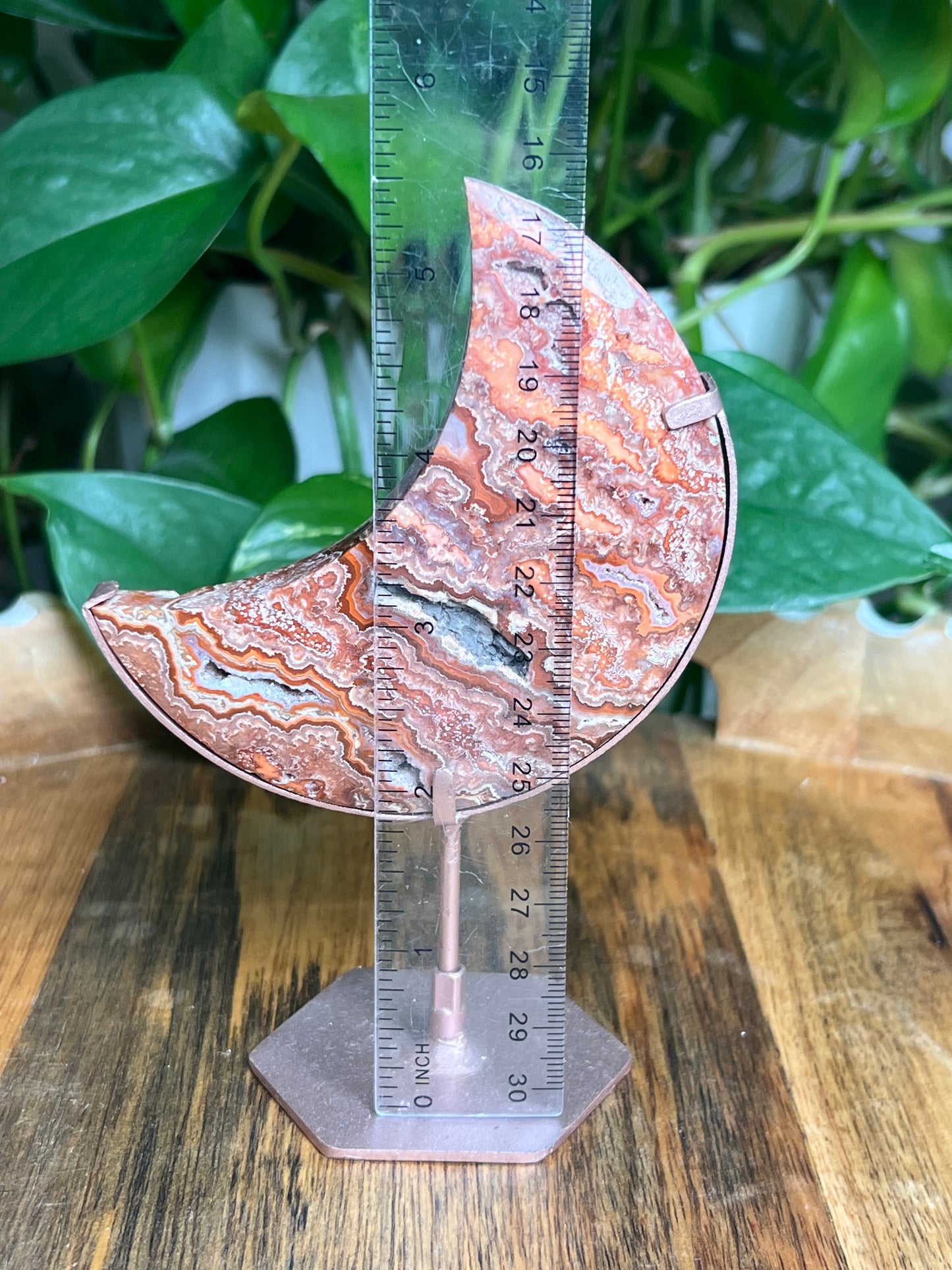 Crazy Lace Agate Moon: PF