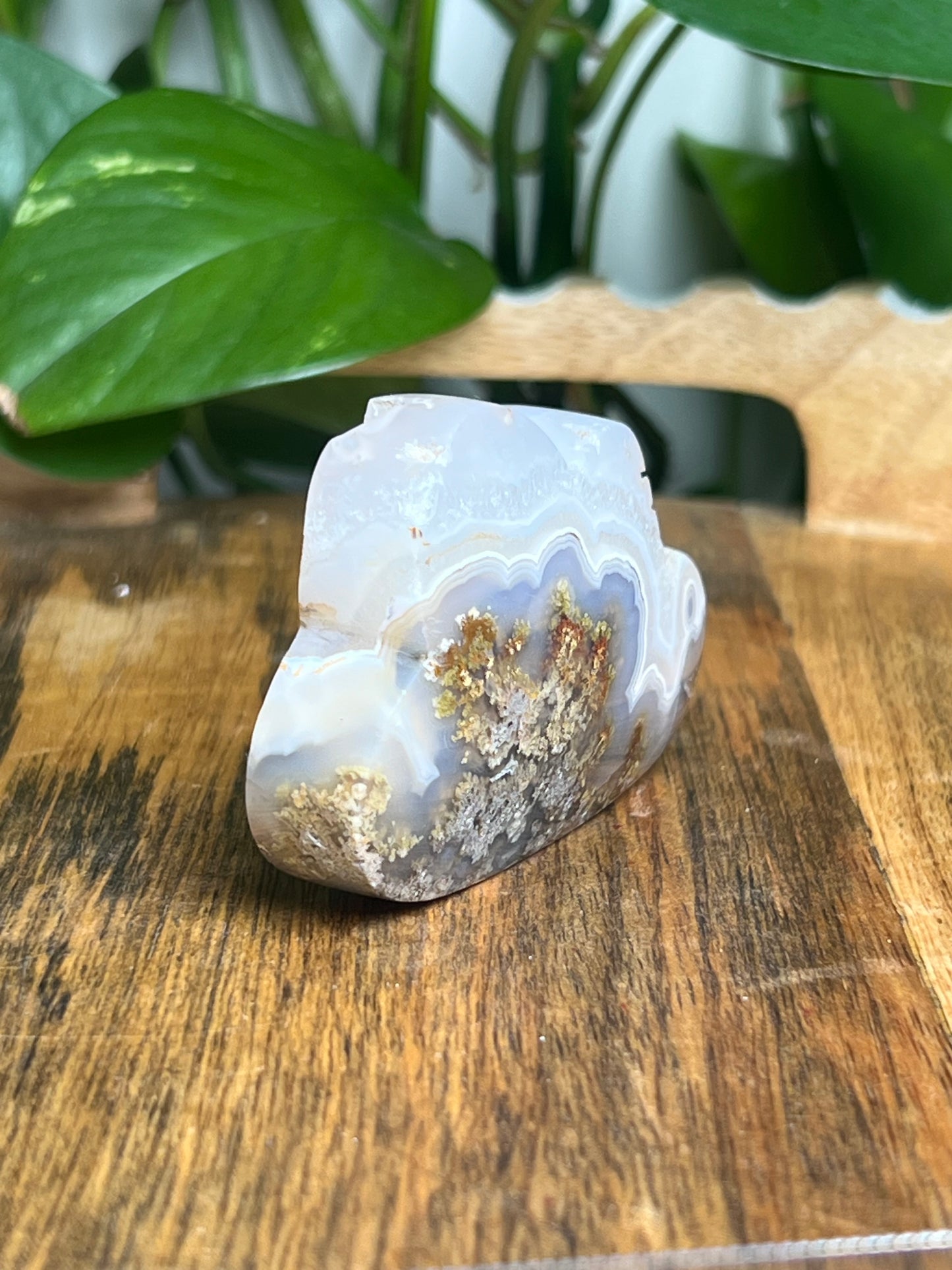 Scenic Moss Agate Cloud: VD