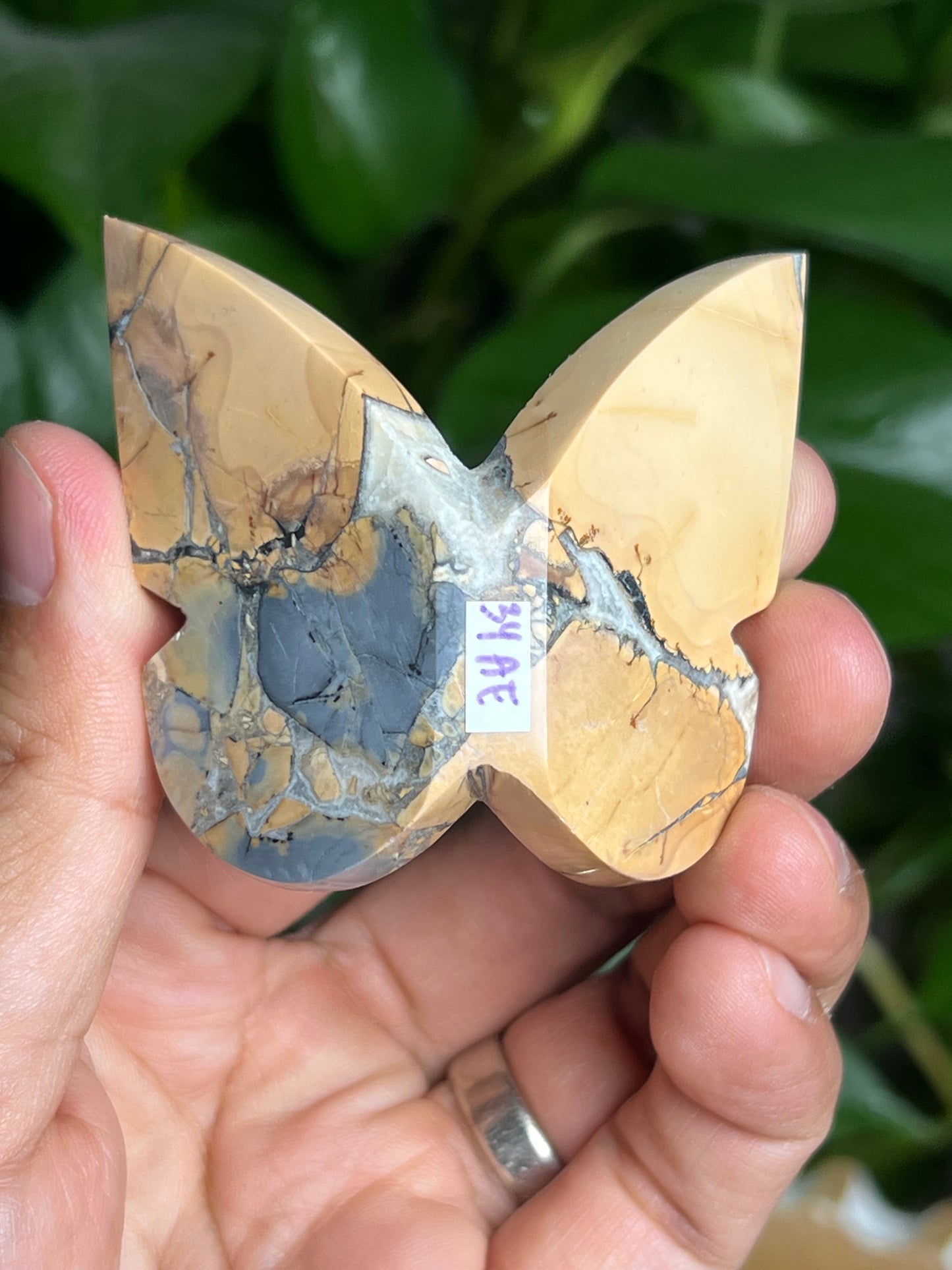 Maligano 3D Butterfly: AE