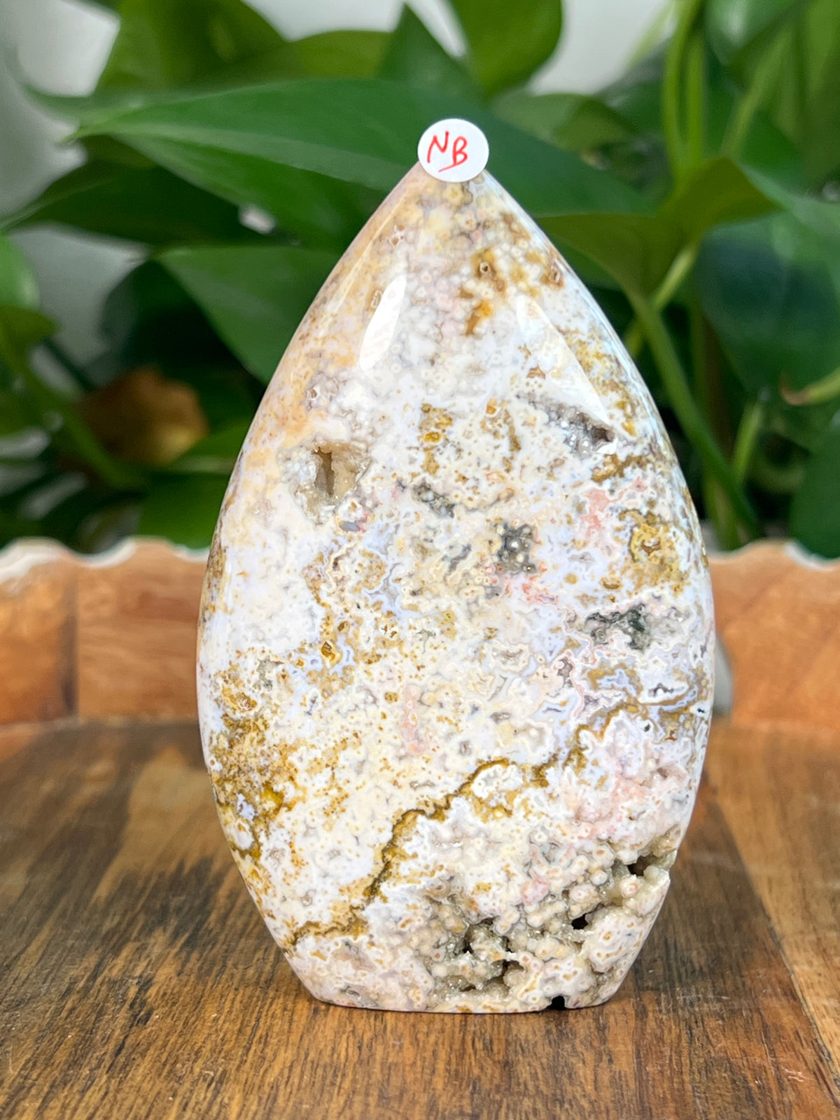 Sea Jasper Flames
