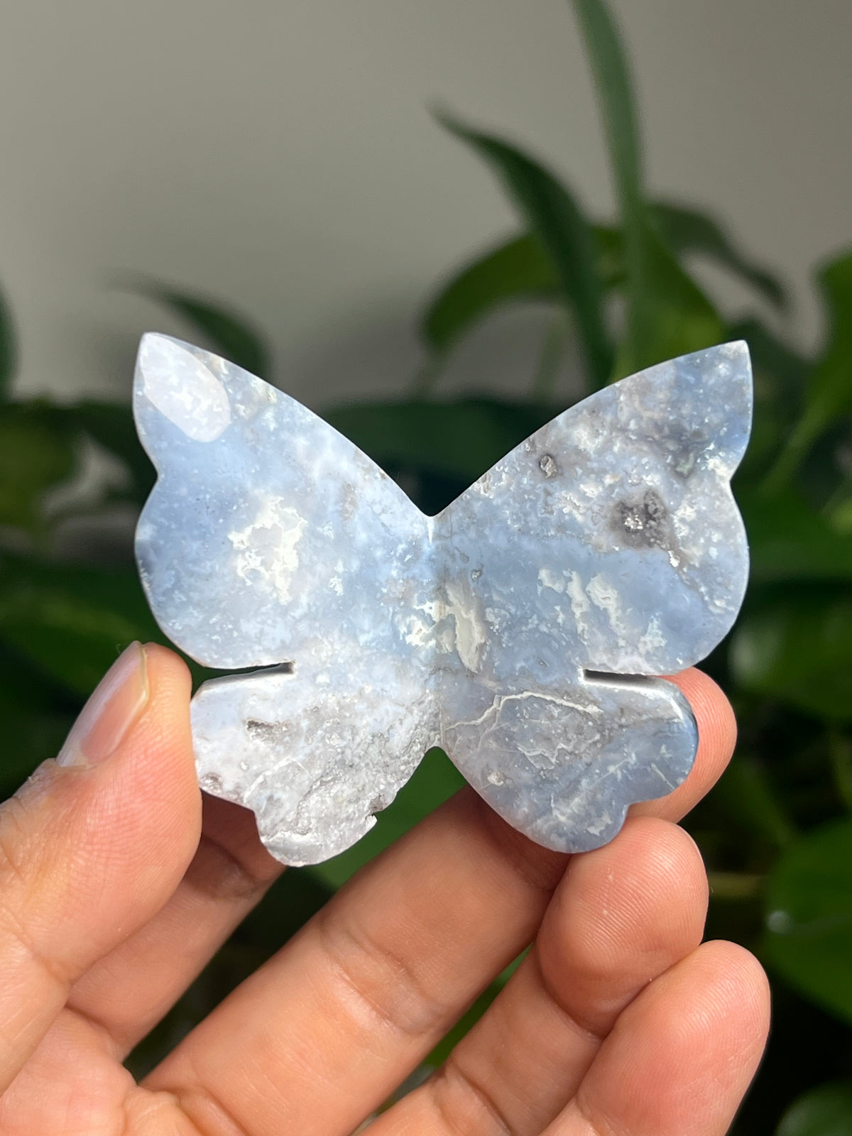 Blue Plume Agate 3D Butterfly: D