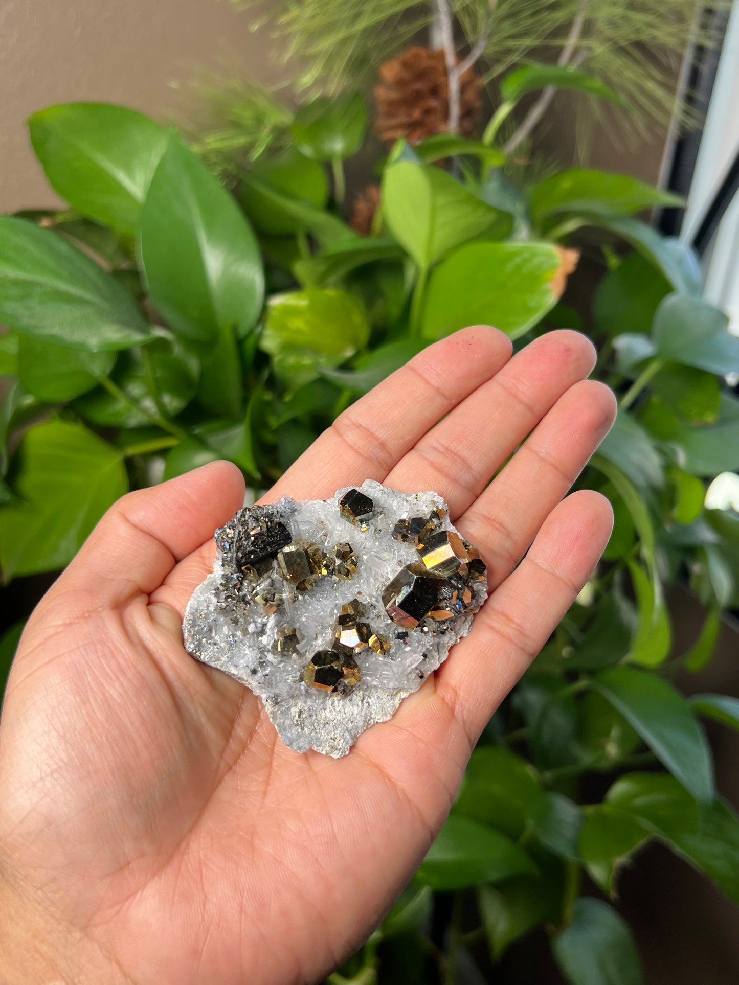 Rainbow Pyrite Quartz