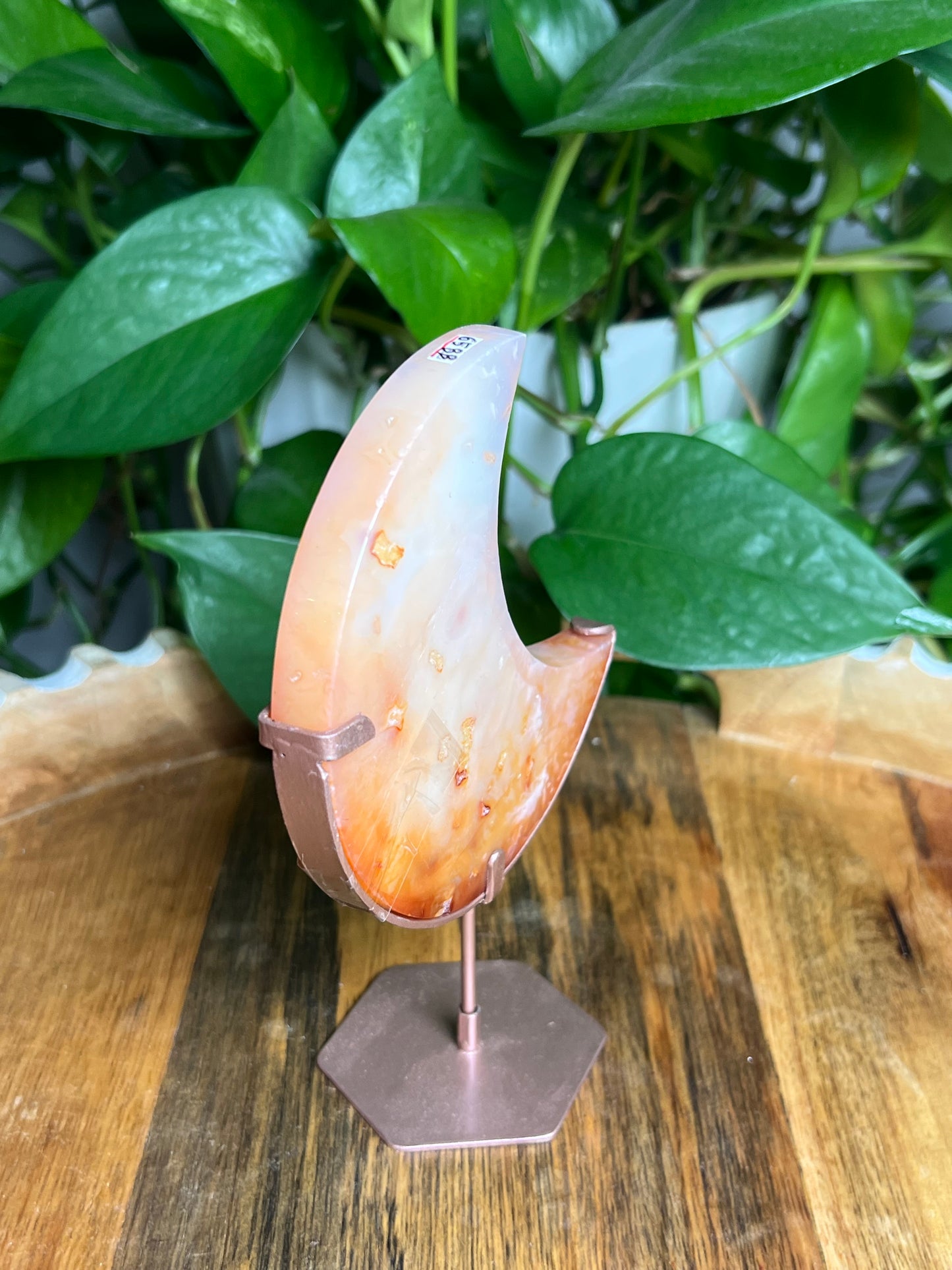 Carnelian Moon: BB