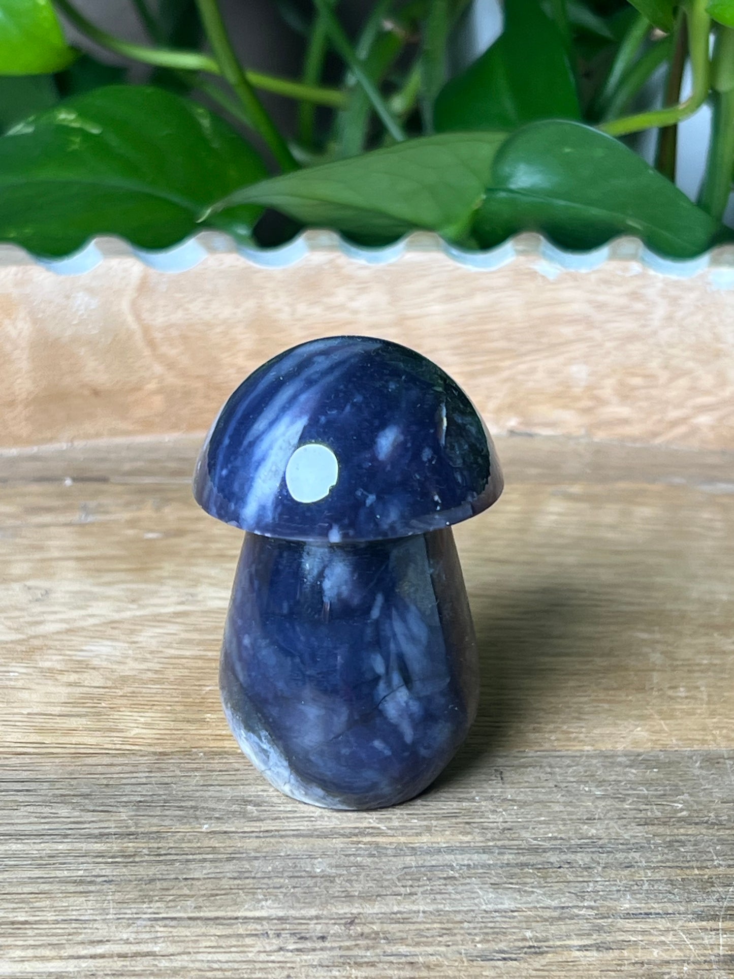 Purple Chalcedony Mushroom