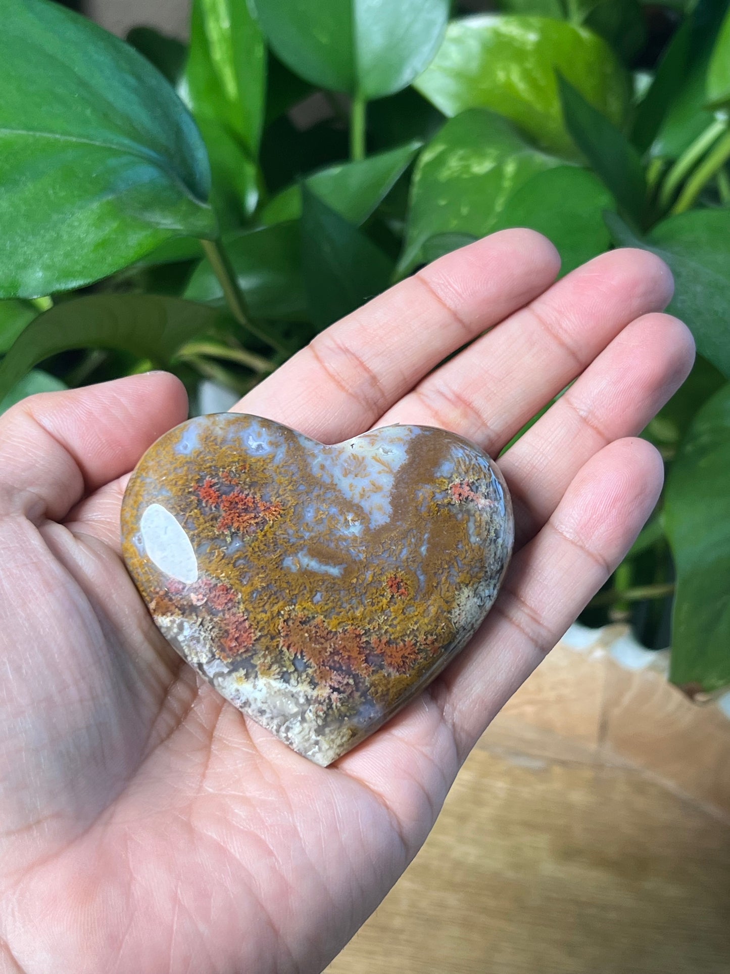 Scenic Moss Agate Heart