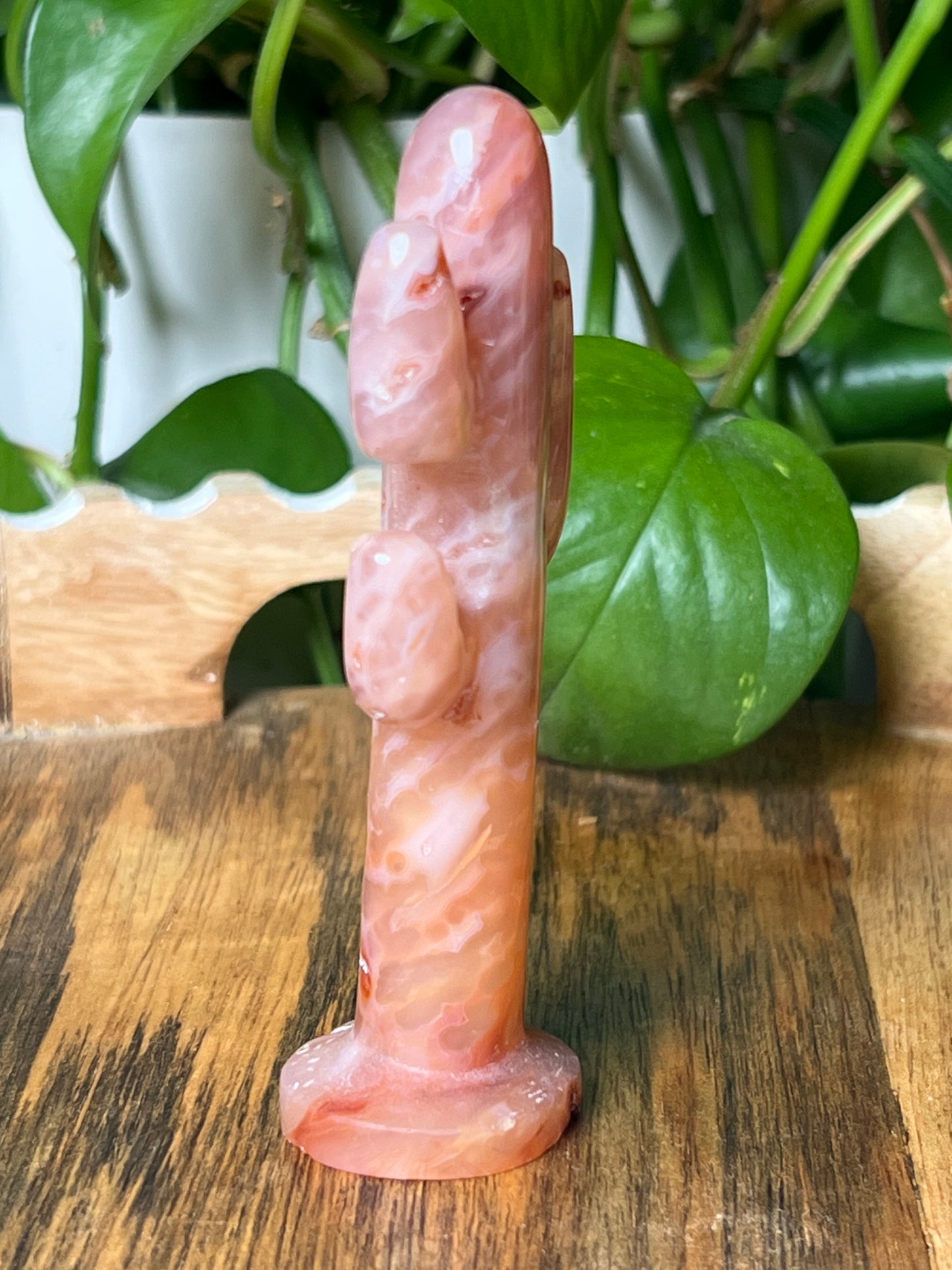 Pink Carnelian Cactus